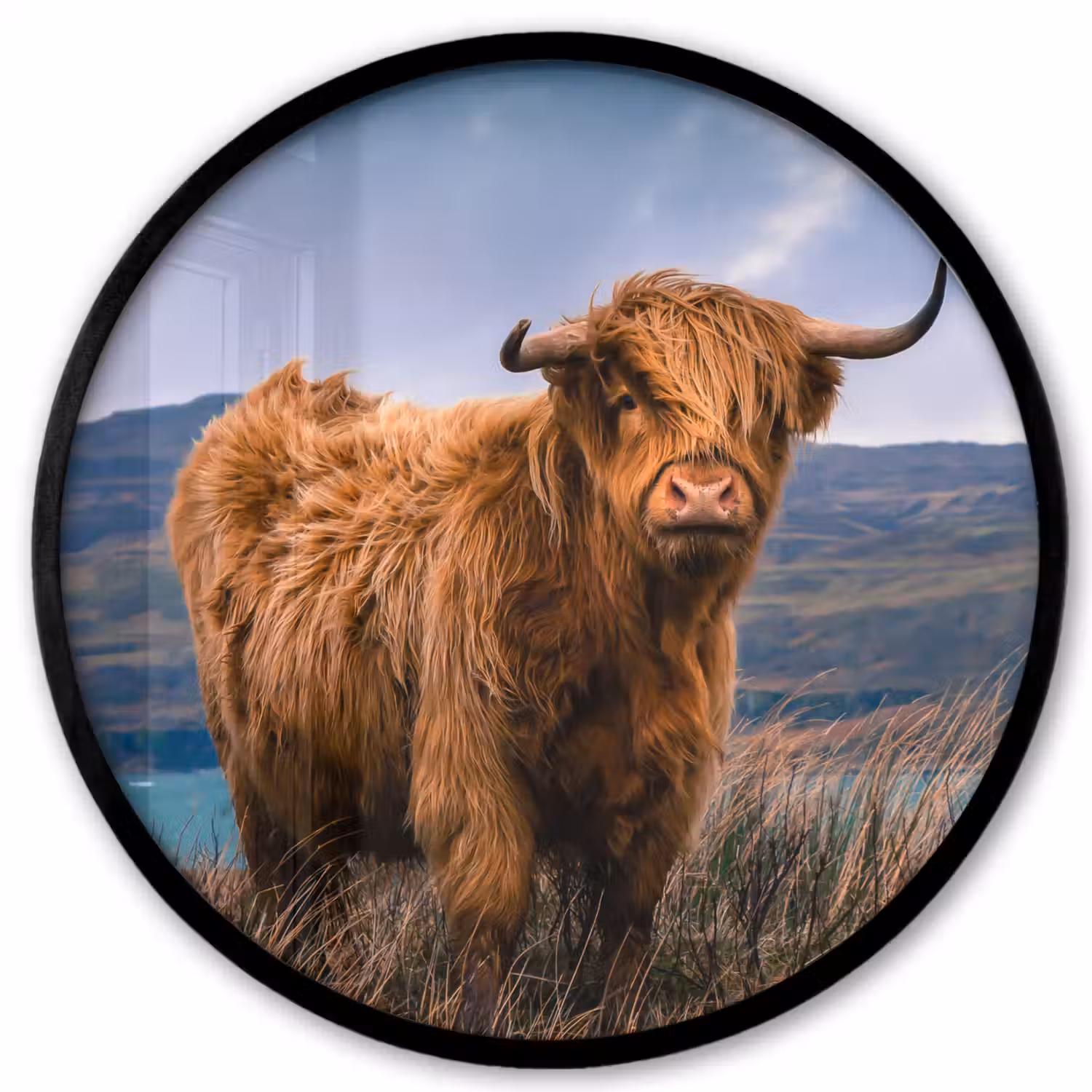 Schotse Hooglander - Berg - Water - Natuur - Koe Fotolijst rond zonder passe partout klein -3d
