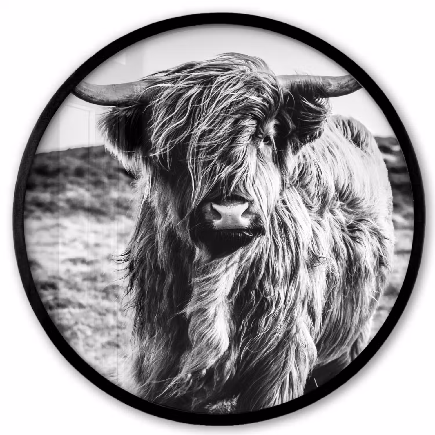 Schotse hooglander - Natuur - Koe - Zwart - Wit Fotolijst rond zonder passe partout klein -3d