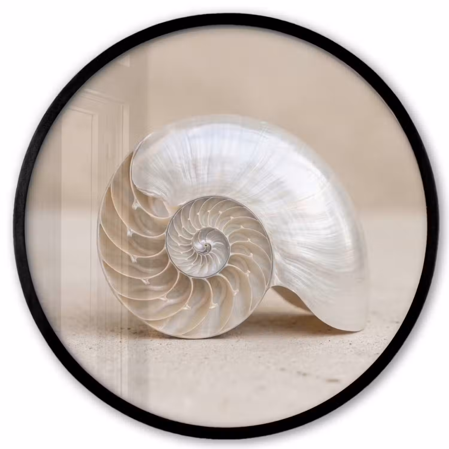 Schelp - Spiraal - Beige Fotolijst rond zonder passe partout klein -3d