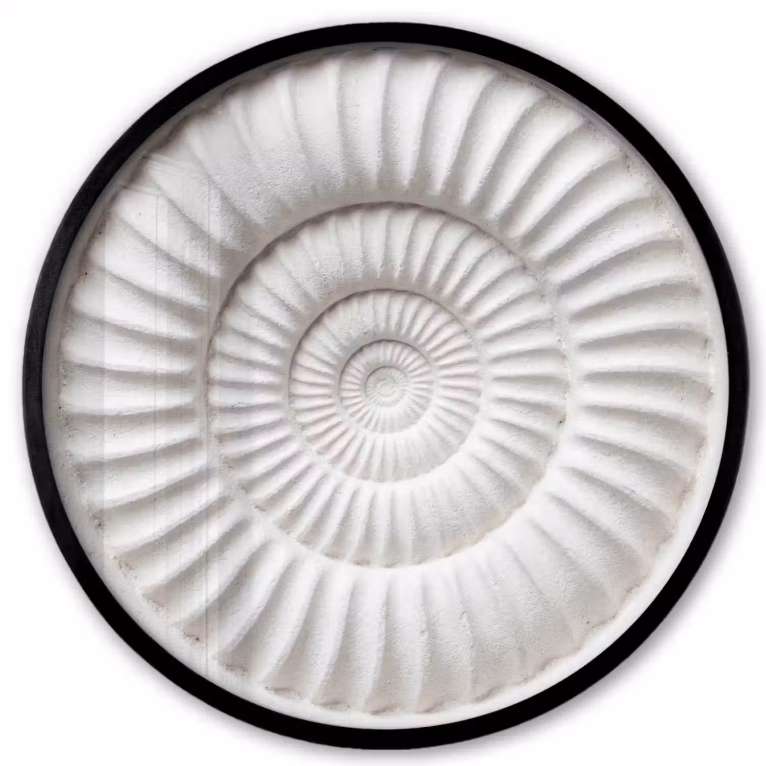 Schelp - Spiraal - Wit Fotolijst rond zonder passe partout klein -3d