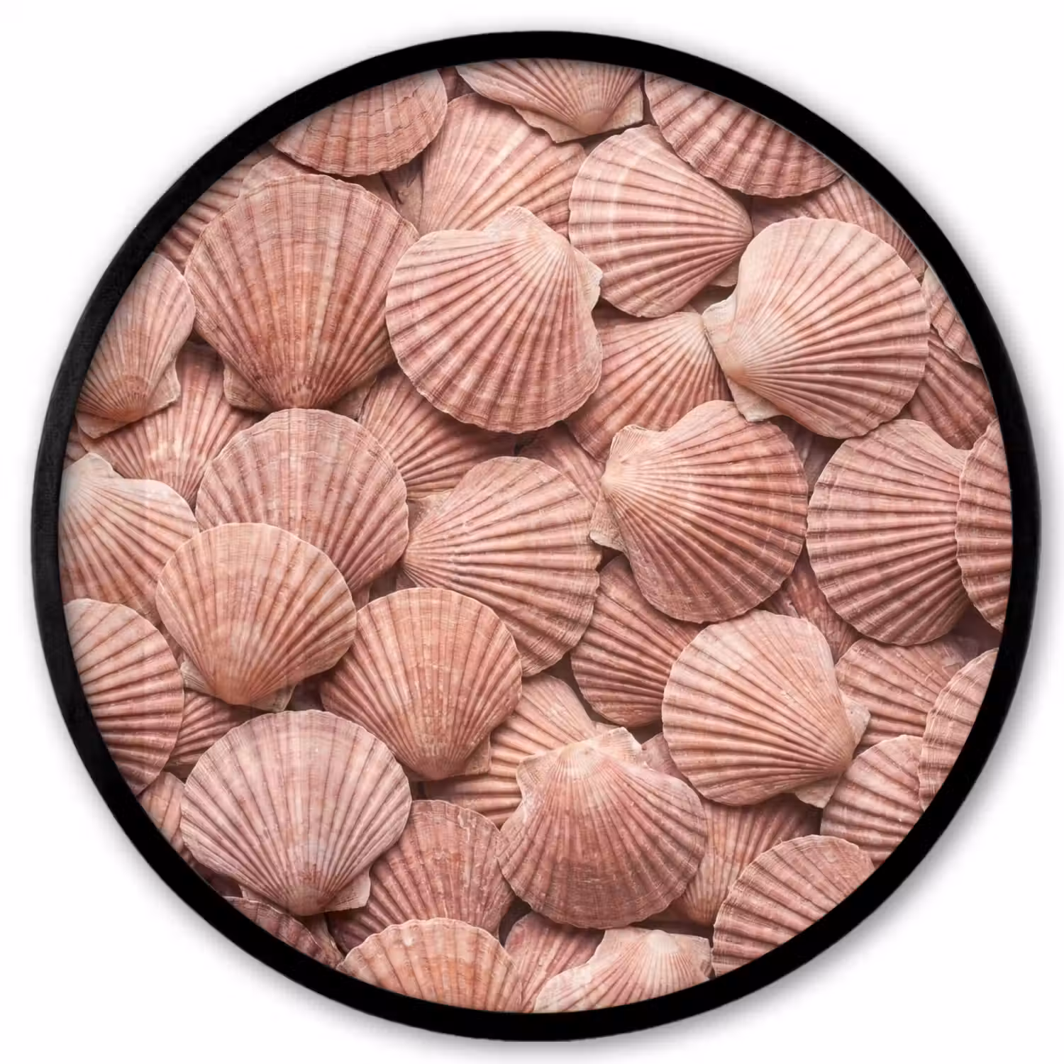 Schelpen - Patroon - Roze Fotolijst rond zonder passe partout klein -3d