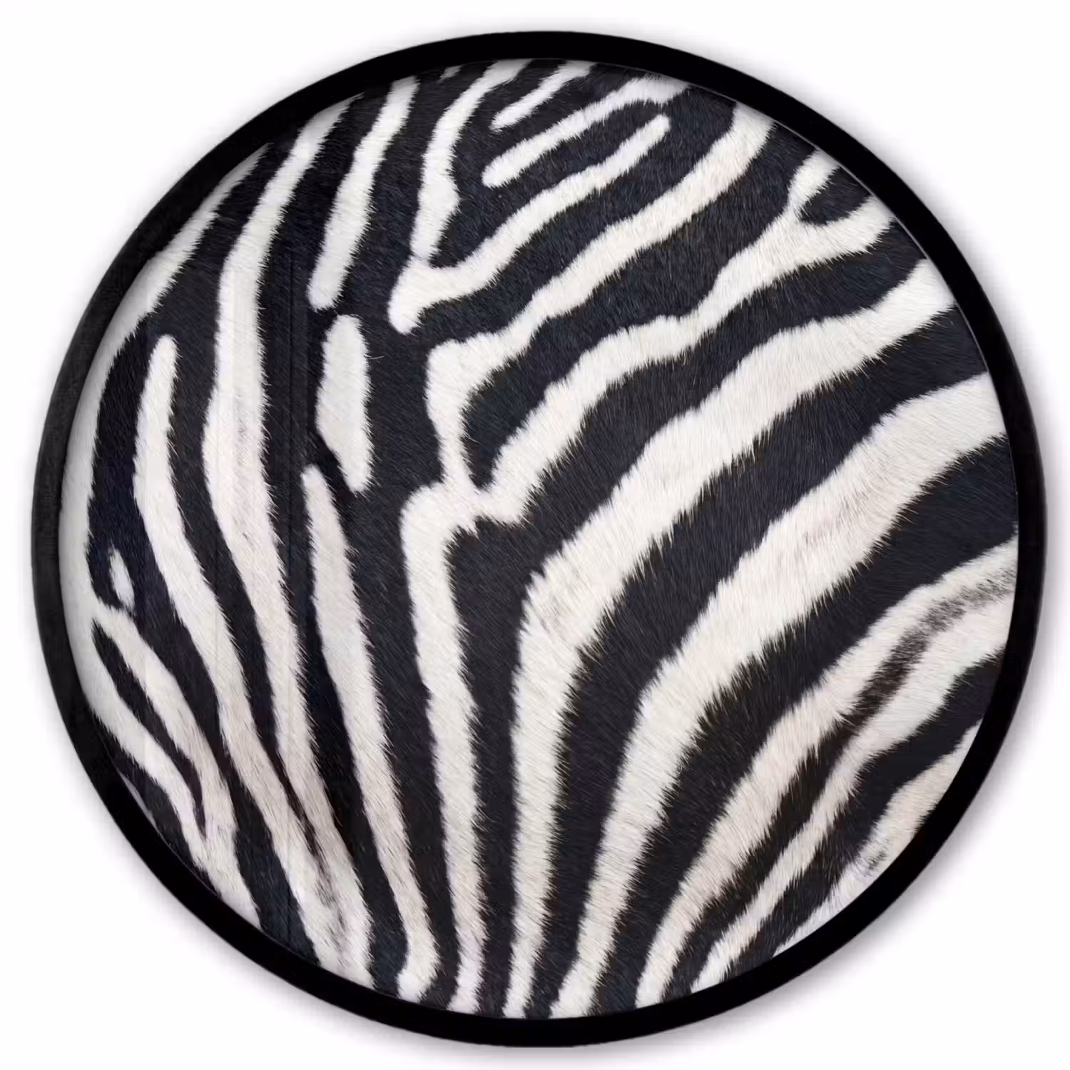 Zebra - Vacht - Klassiek - Zwart - Wit Fotolijst rond zonder passe partout klein -3d