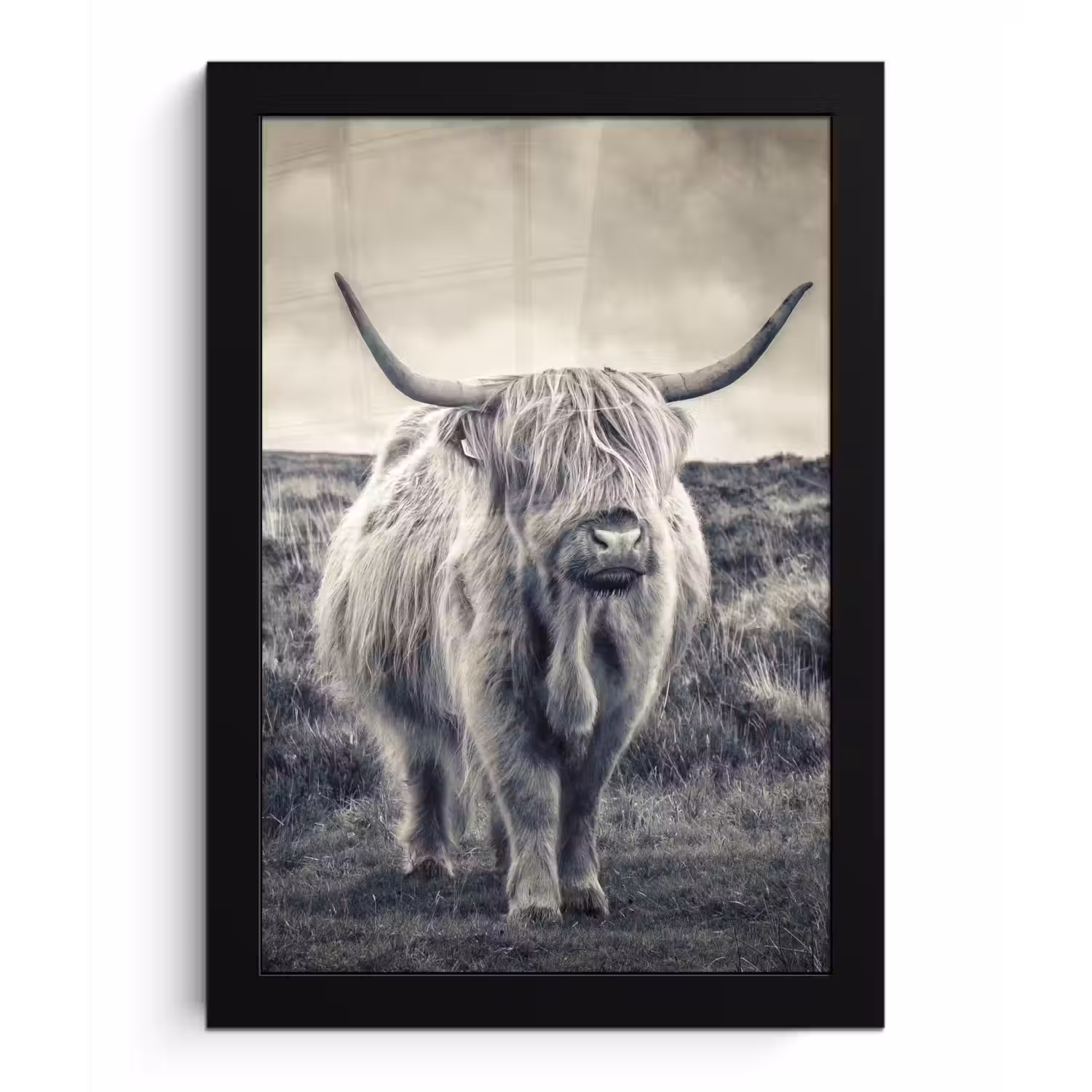 Schotse hooglander - Dieren - Wolken - Koe - Natuur fotolijst zwart zonder passe partout klein -3d