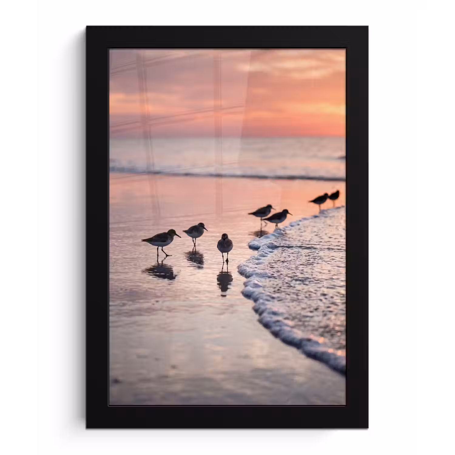 Meeuwen - Strand - Zee - Roze fotolijst zwart zonder passe partout klein -3d