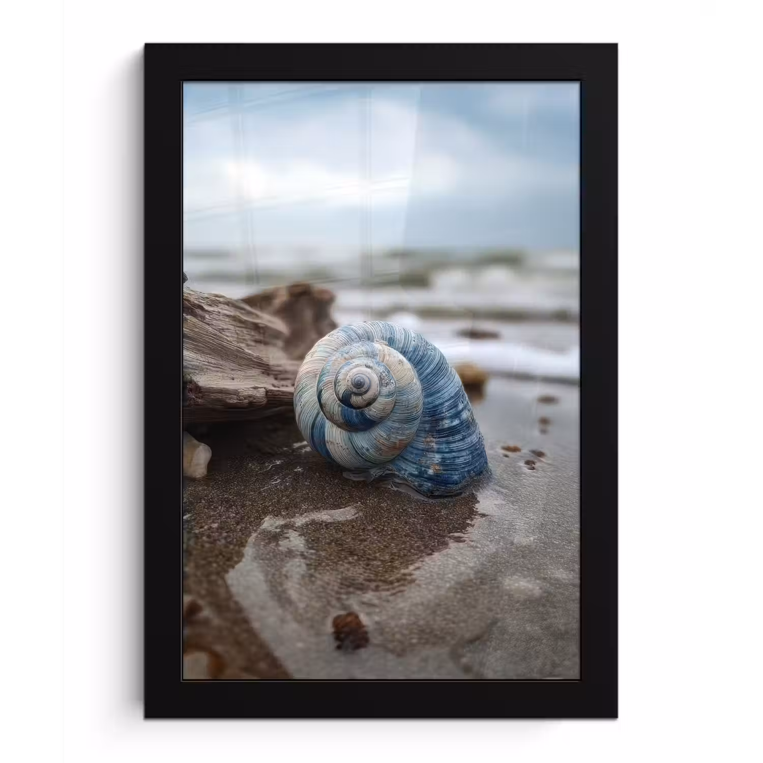 Schelp - Strand - Blauw - Zee fotolijst zwart zonder passe partout klein -3d