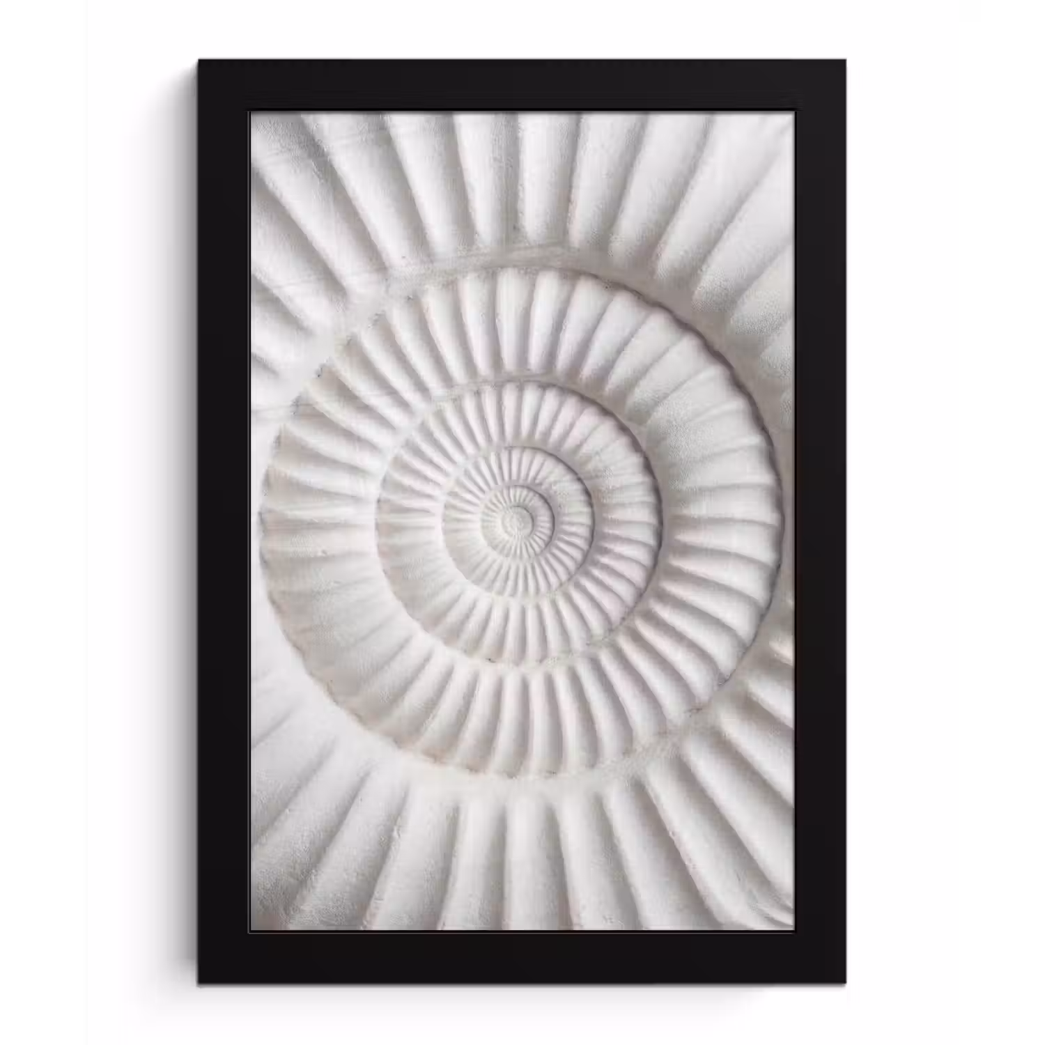 Schelp - Spiraal - Wit fotolijst zwart zonder passe partout klein -3d