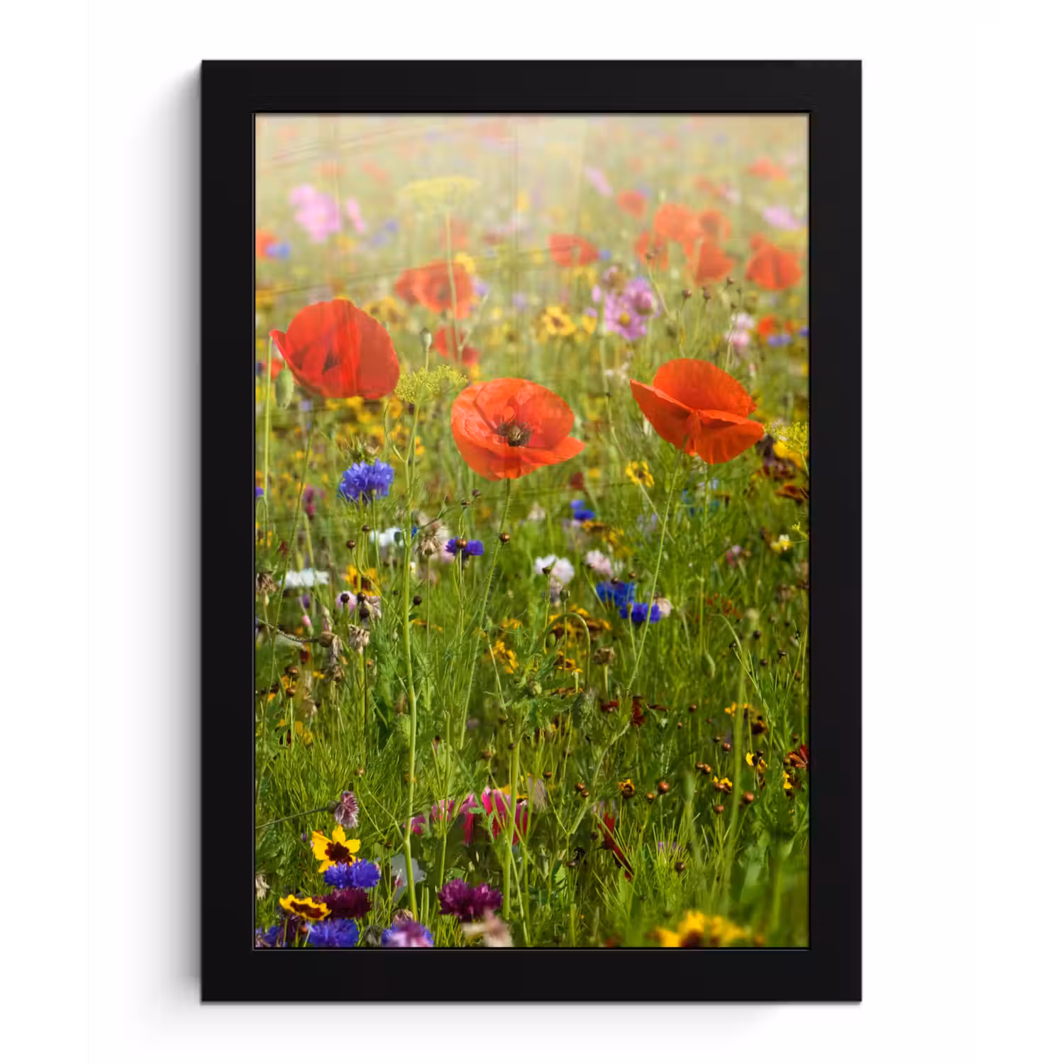 Lente - Bloemen - Rood - Klaproos - Gras - Groen fotolijst zwart zonder passe partout klein -3d