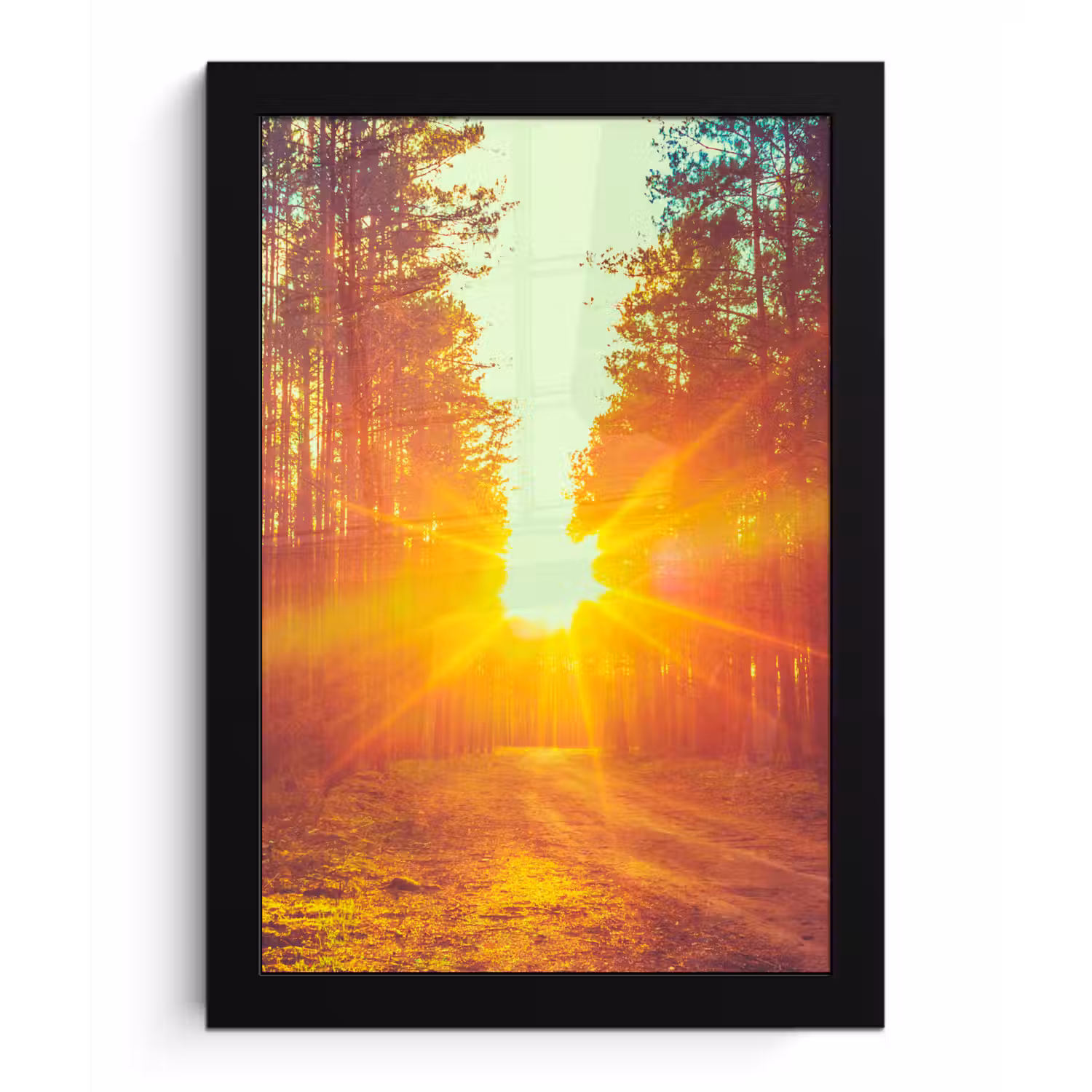 Zonsondergang - Bomen - Bos - Natuur fotolijst zwart zonder passe partout klein -3d