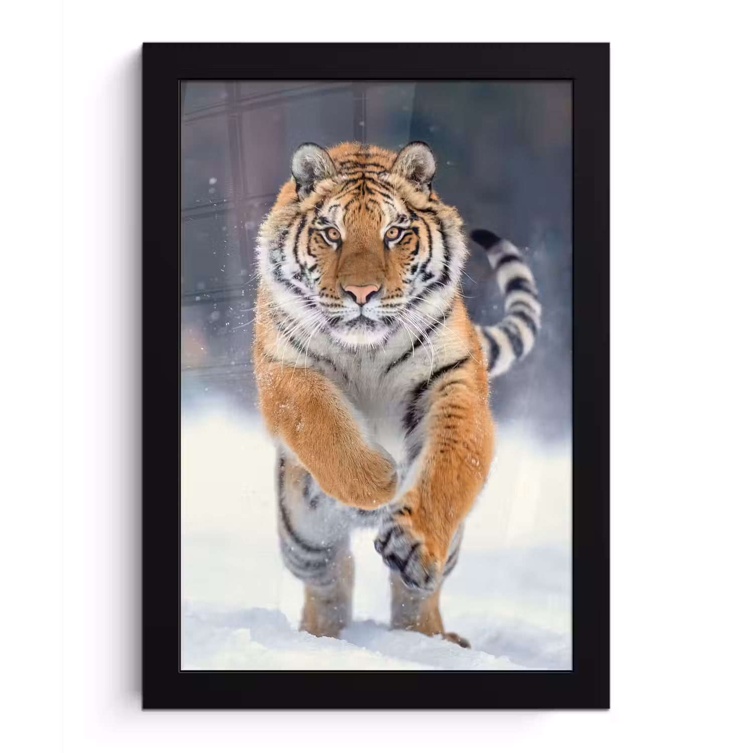 Tijger - Landschap - Sneeuw - Winter - Dieren fotolijst zwart zonder passe partout klein -3d