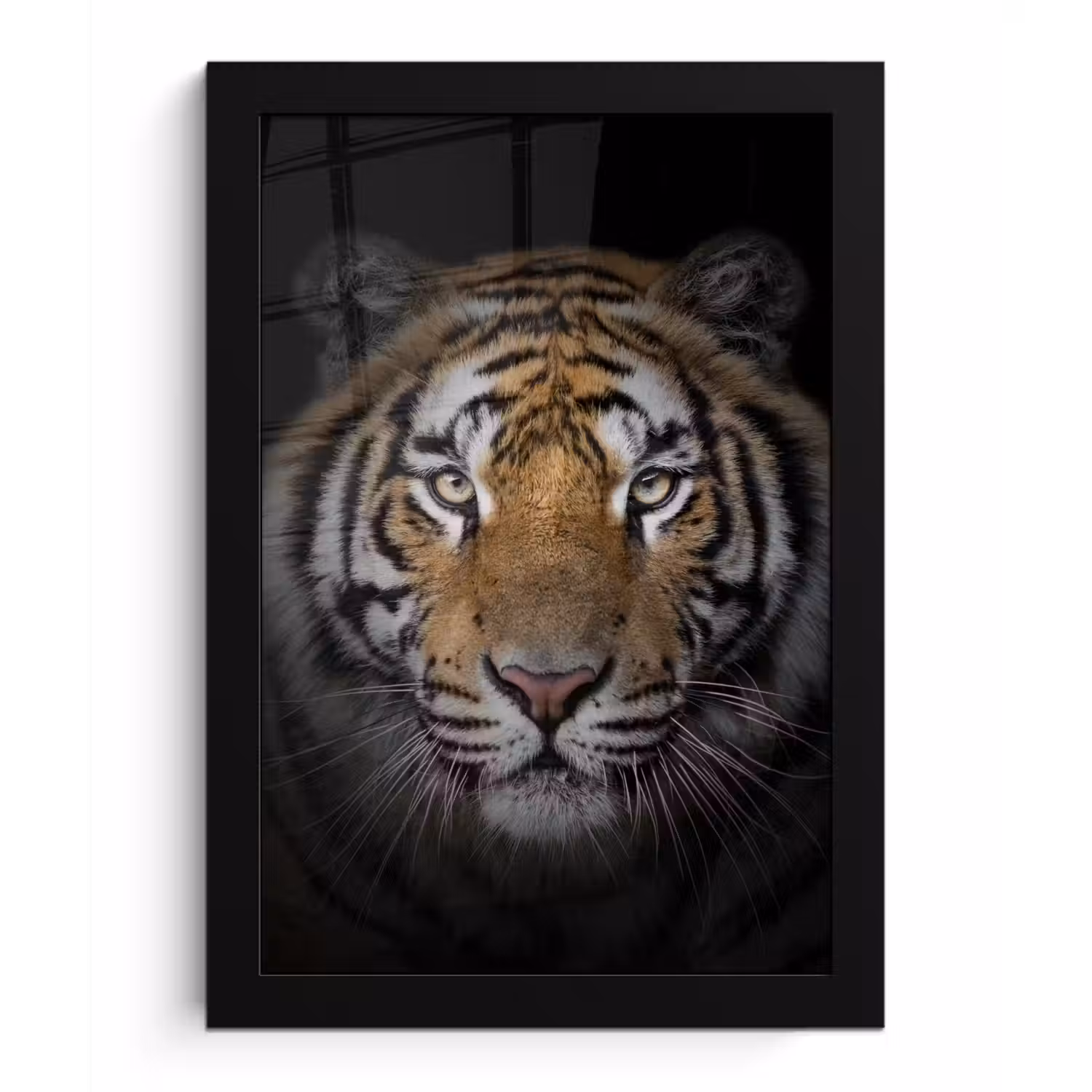 Tijger - Wilde dieren - Portret - Zwart - Dieren fotolijst zwart zonder passe partout klein -3d