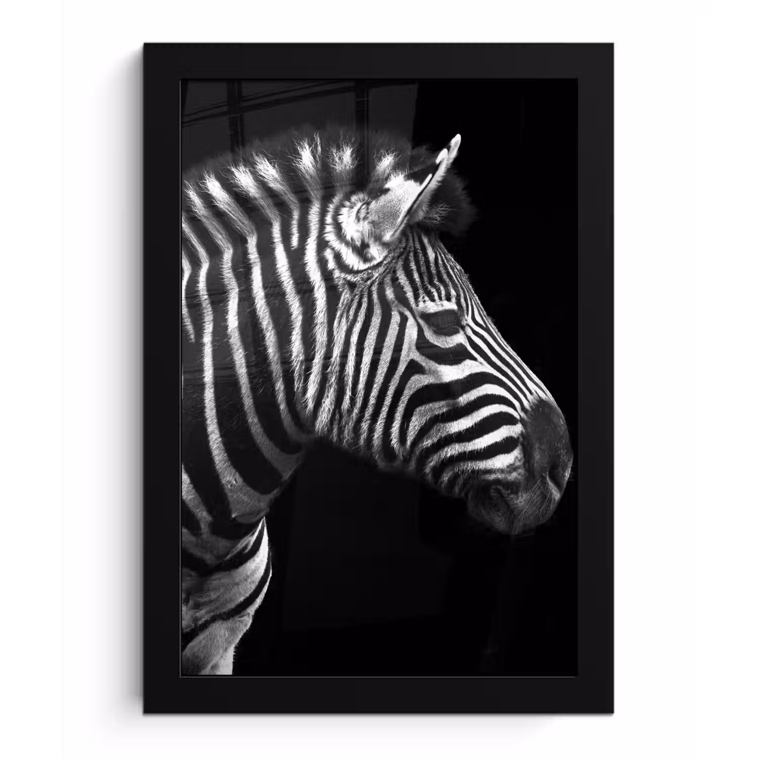 Zebra - Zwart - Wit - Portret - Dieren fotolijst zwart zonder passe partout klein -3d