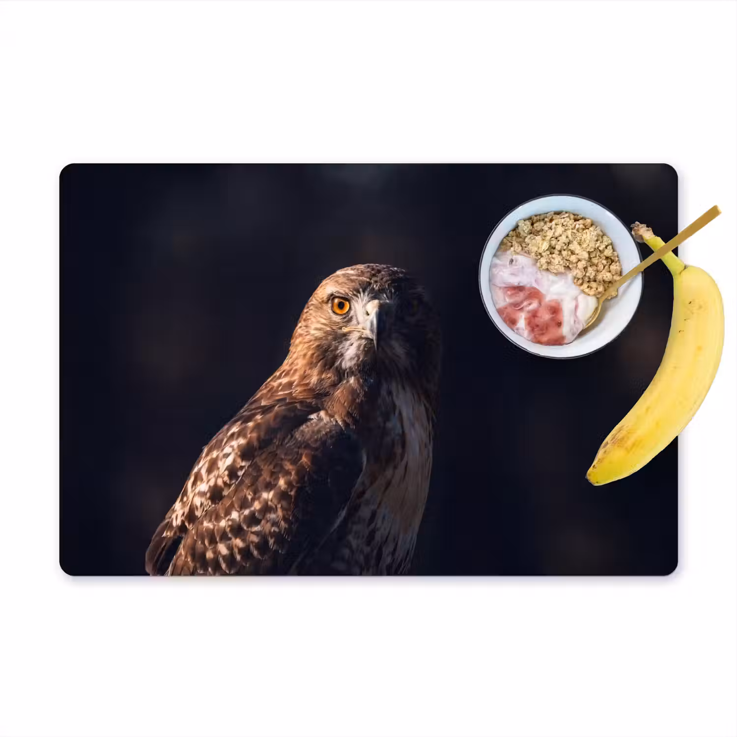 Roofvogel - Buizerd - Bruin Placemat vinyl groot -zzzproduct_Kitchenyeah-website