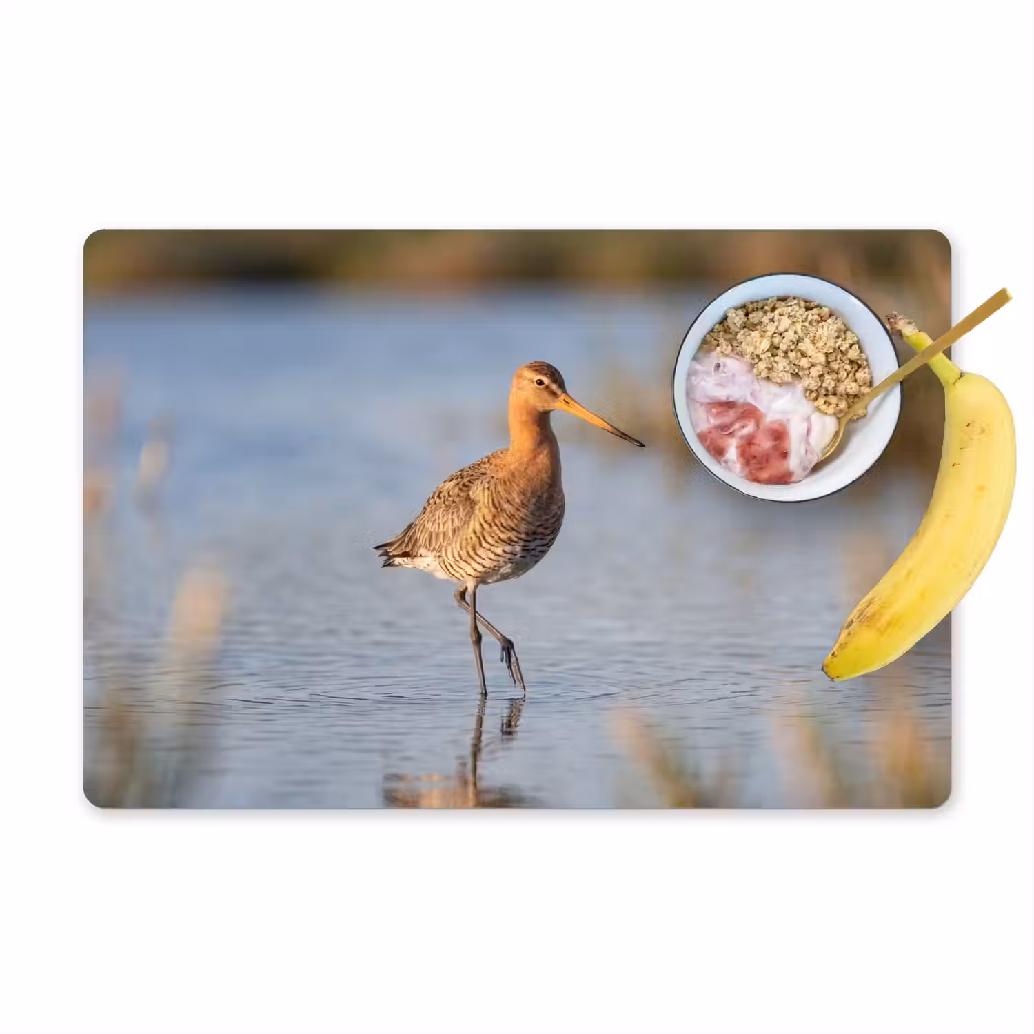 Vogel - Steltloper - Water - Natuur Placemat vinyl groot -zzzproduct_Kitchenyeah-website