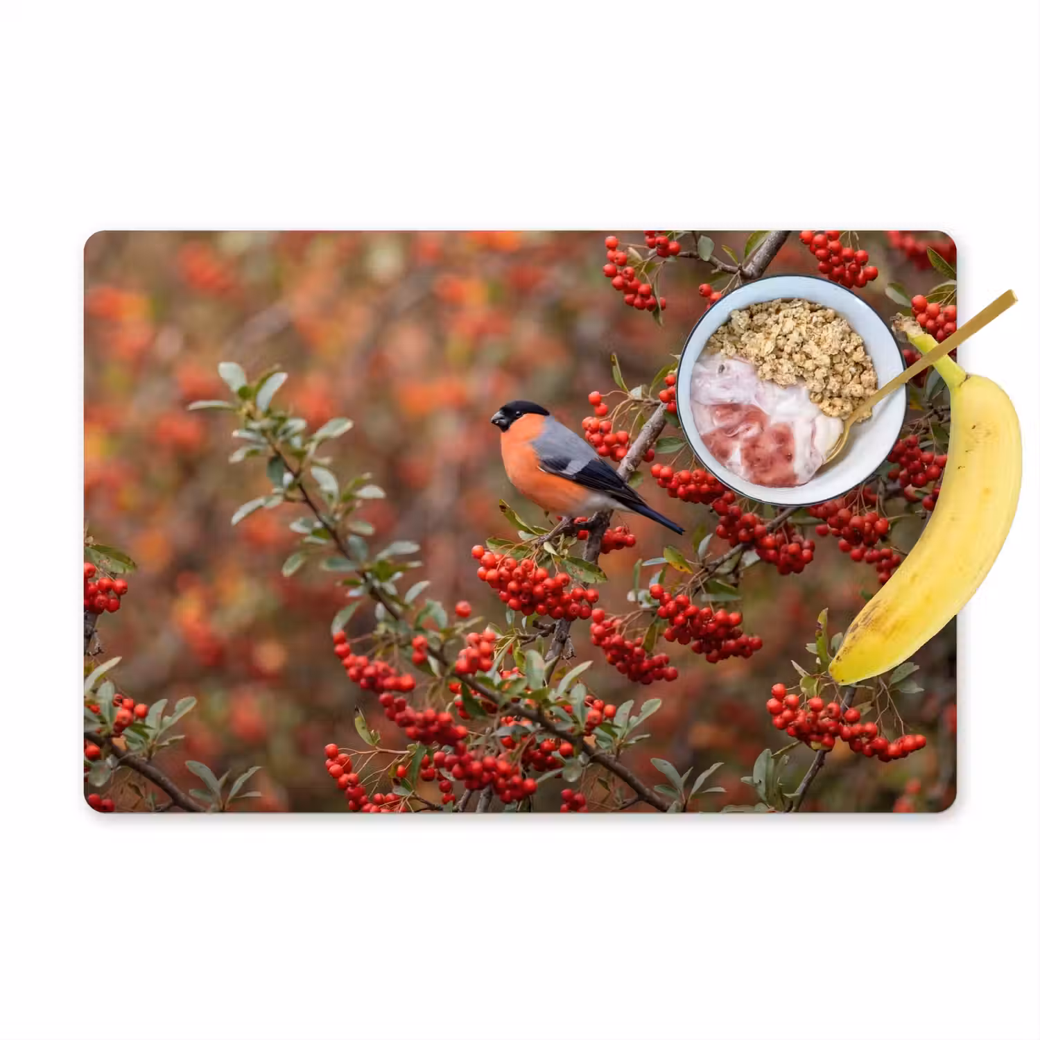 Goudvink - Bessen - Herfst - Natuur - Kleurrijk Placemat vinyl groot -zzzproduct_Kitchenyeah-website