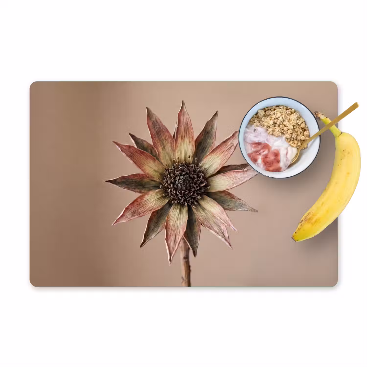 Droogbloem - Protea - Vintage - Beige - Rustiek Placemat vinyl groot -zzzproduct_Kitchenyeah-website