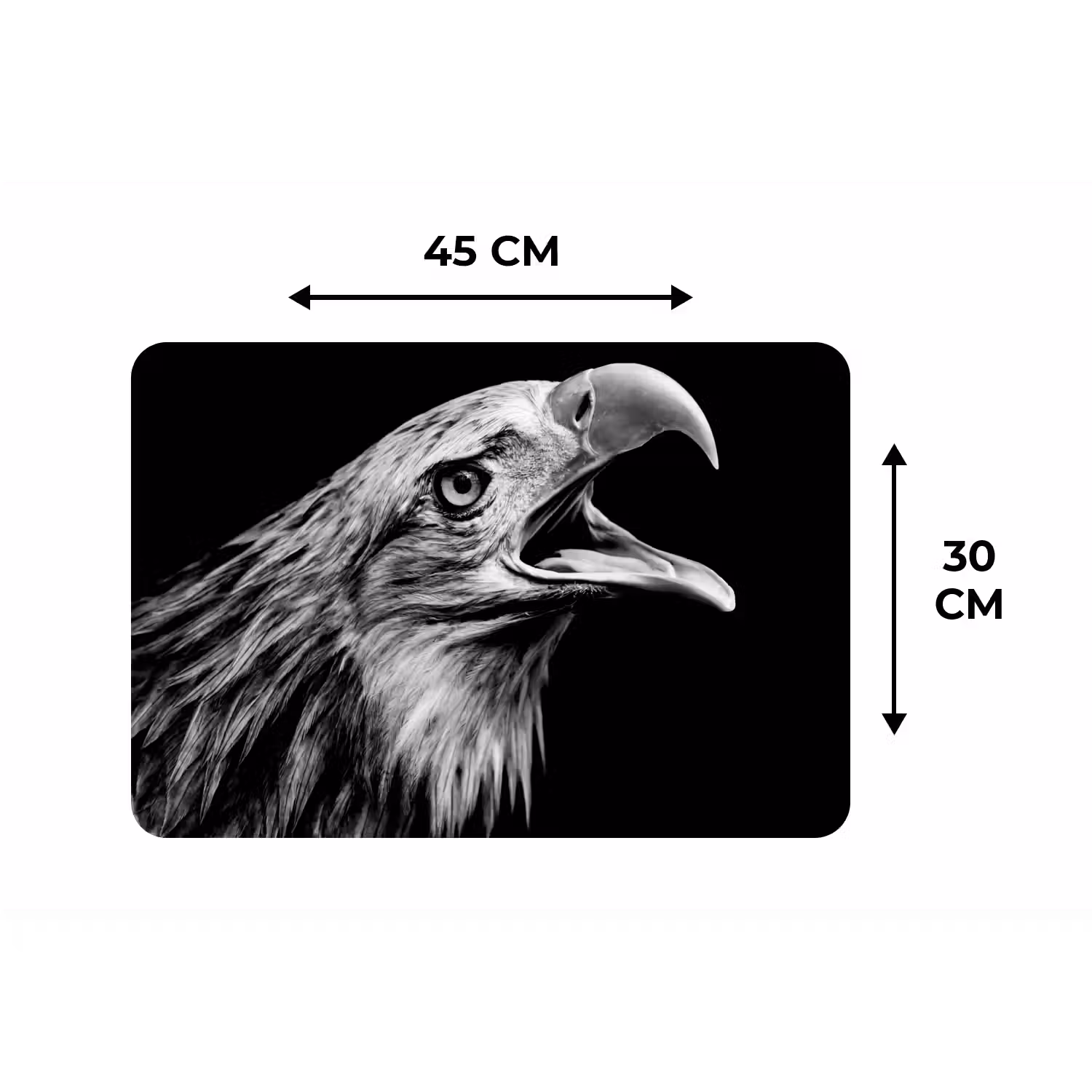 Adelaar - Portret - Roofvogels - Zwart - Wit - Vogel Placemat vinyl groot -specs