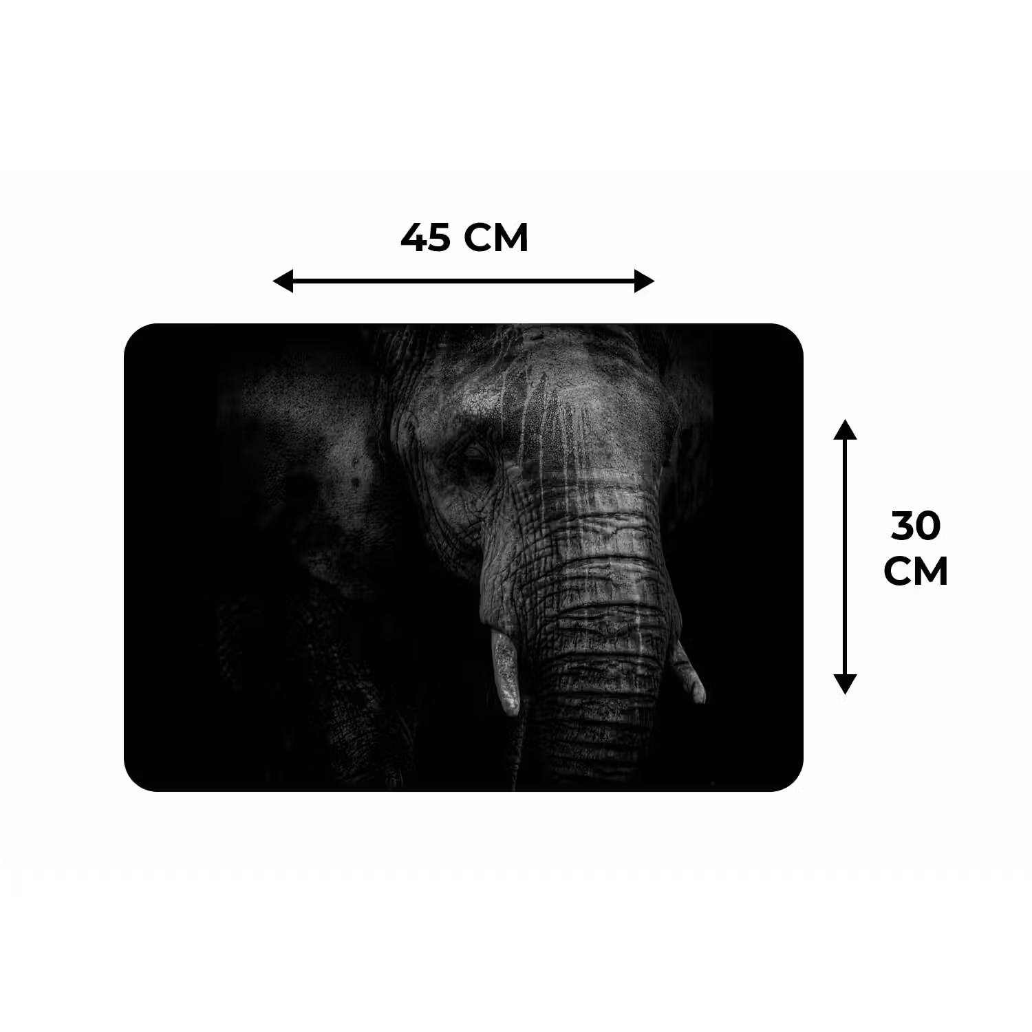 Olifant - Dier - Portret Placemat vinyl groot -specs