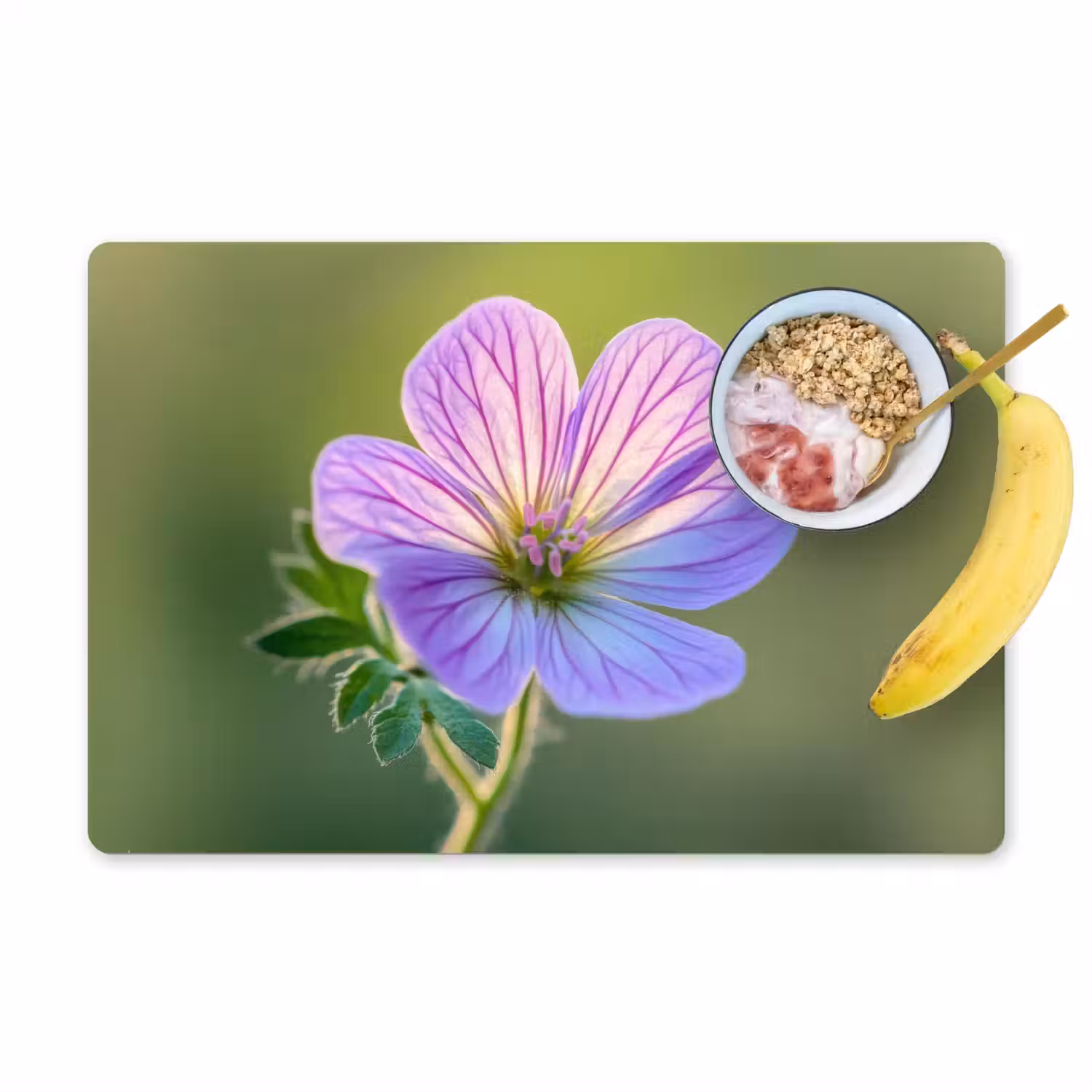 Bloem - Close up - Paars Placemat vinyl groot -zzzproduct_Kitchenyeah-website