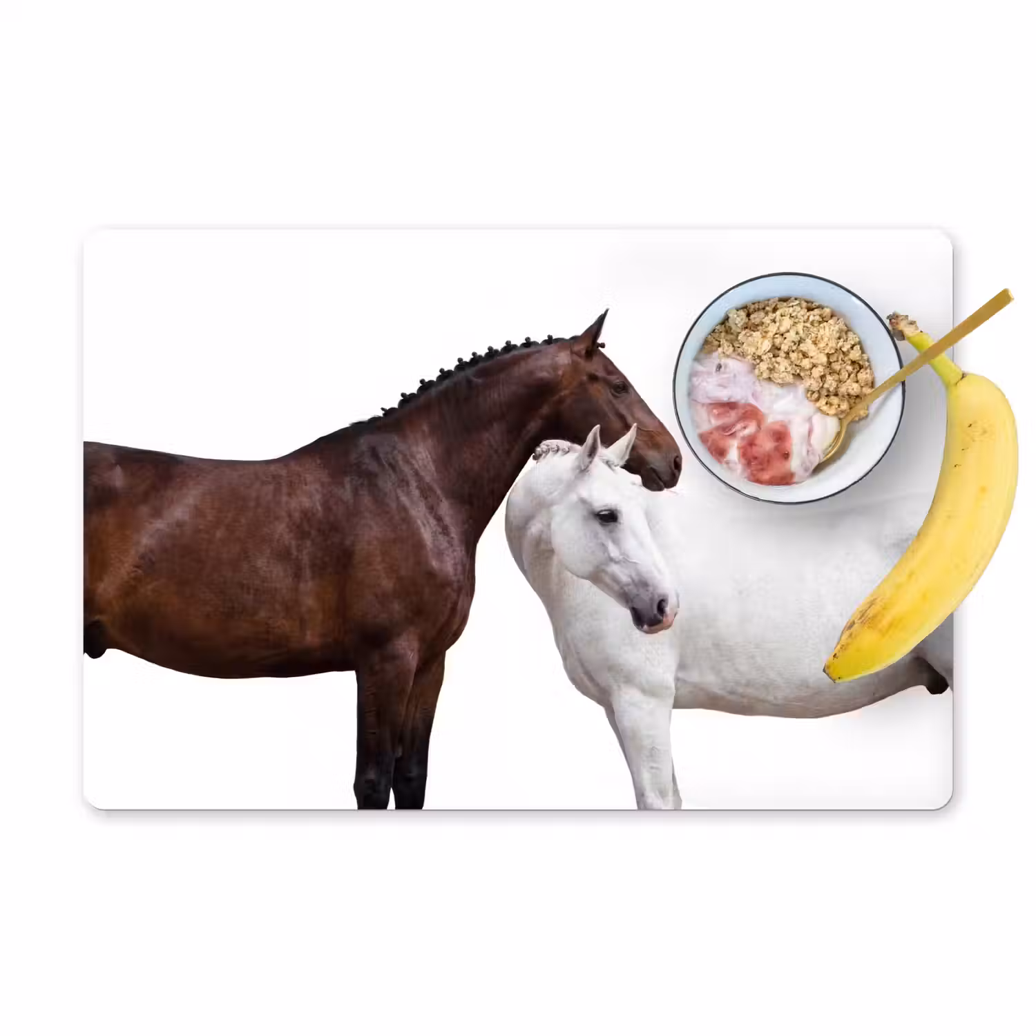 Paard - Modern - Balans Placemat vinyl groot -zzzproduct_Kitchenyeah-website