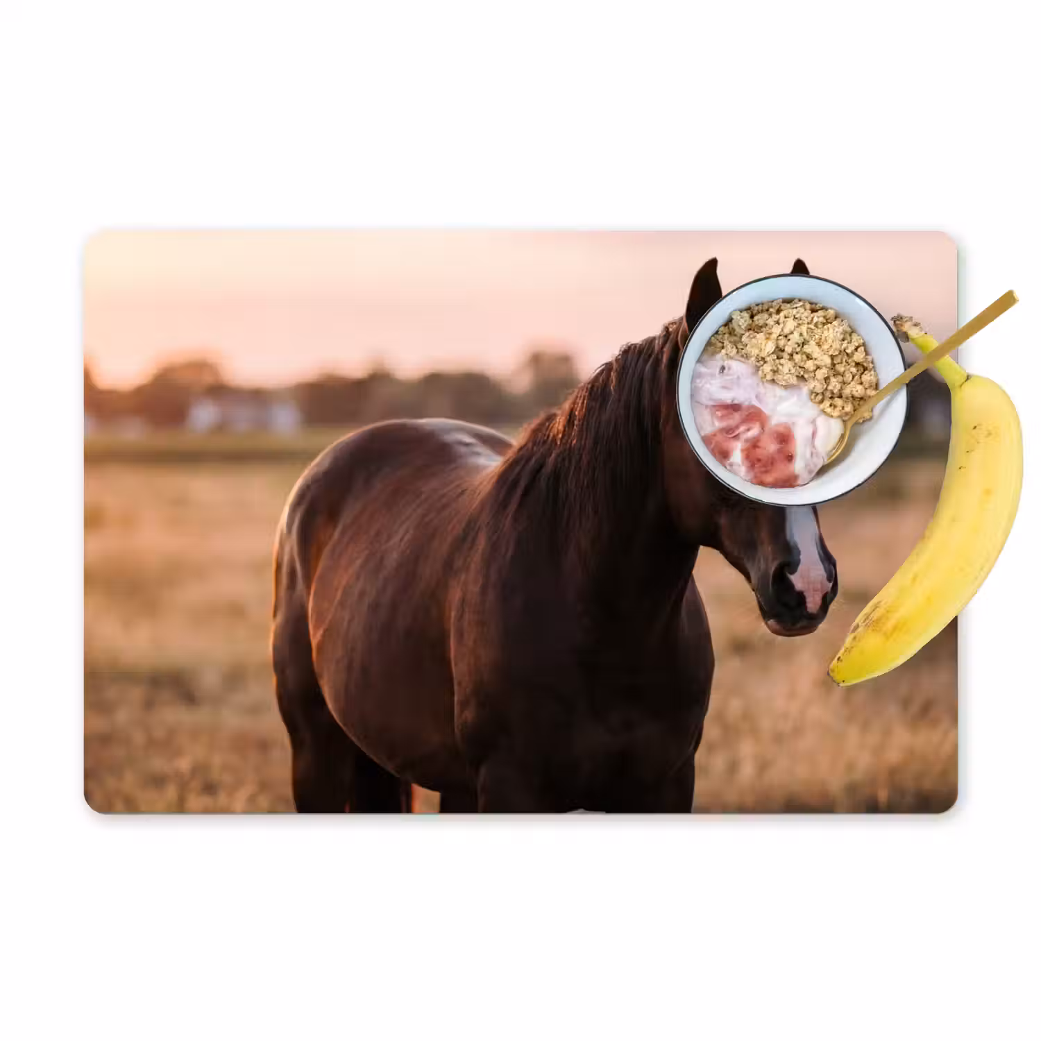 Paard - Zonsondergang - Bruin Placemat vinyl groot -zzzproduct_Kitchenyeah-website