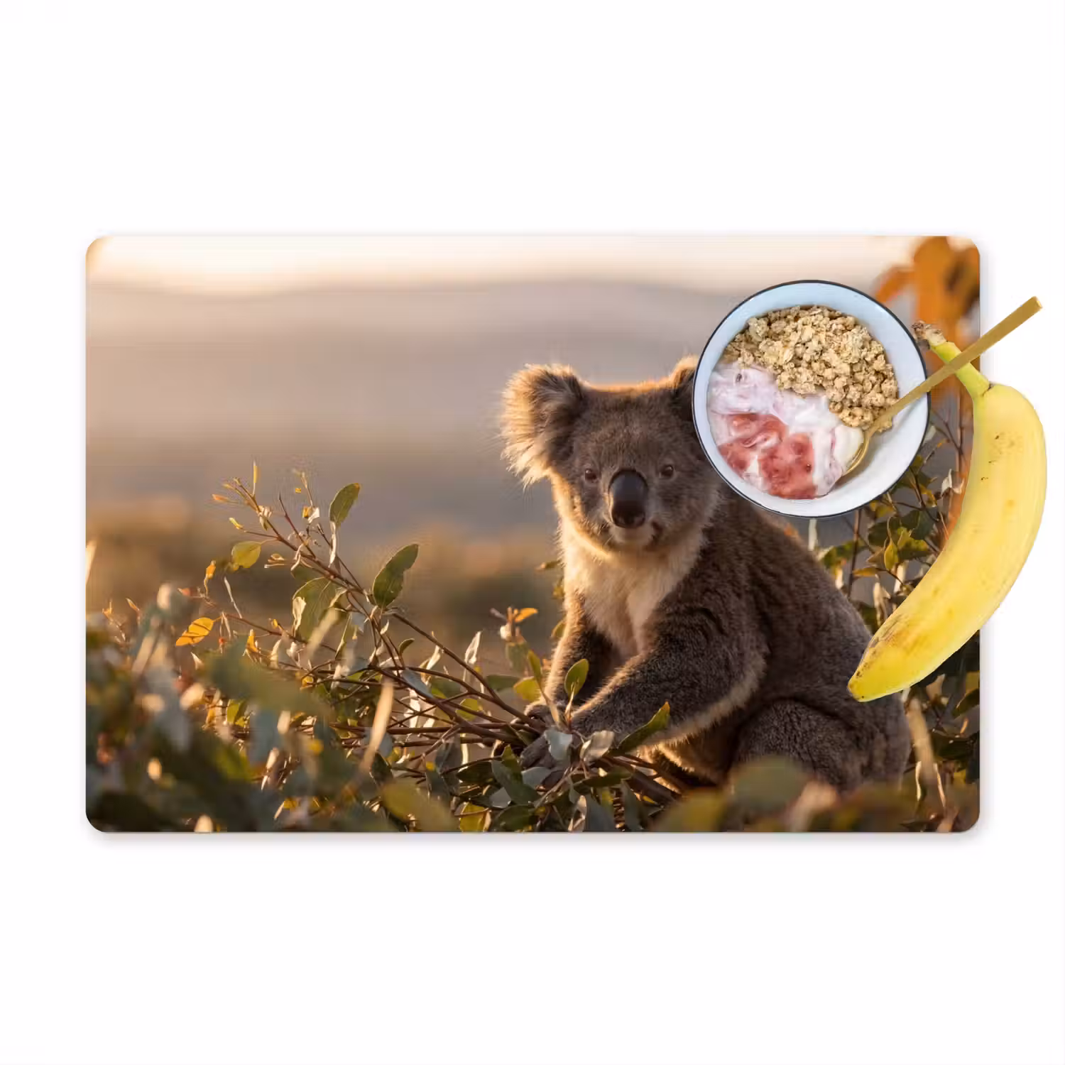 Koala - Bladeren - Ochtendlicht Placemat vinyl groot -zzzproduct_Kitchenyeah-website