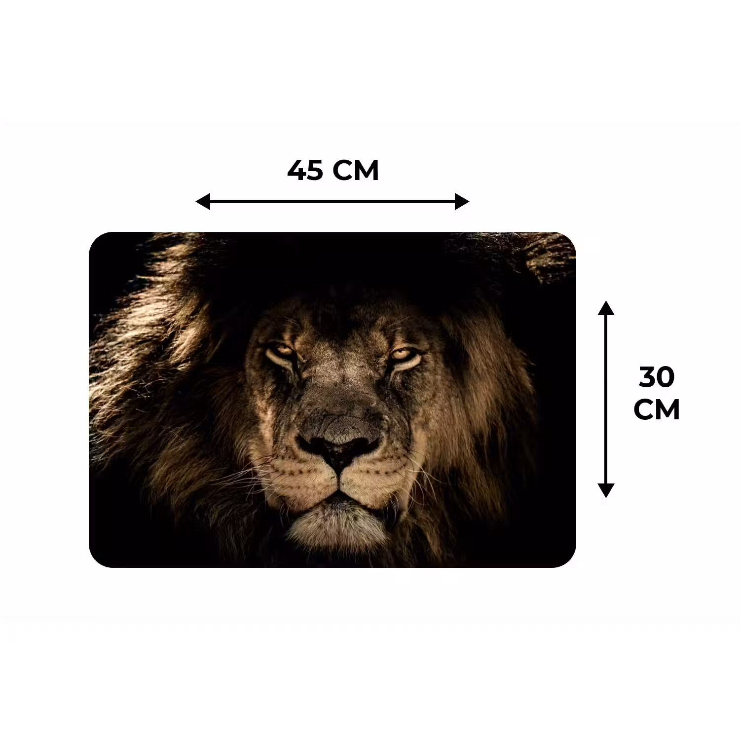 Leeuw - Dieren - Zwart - Portret Placemat vinyl groot -specs