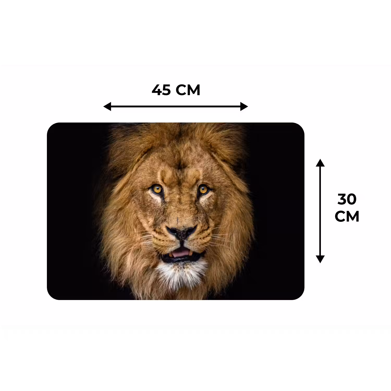 Leeuw - Portret - Zwart - Dieren Placemat vinyl groot -specs