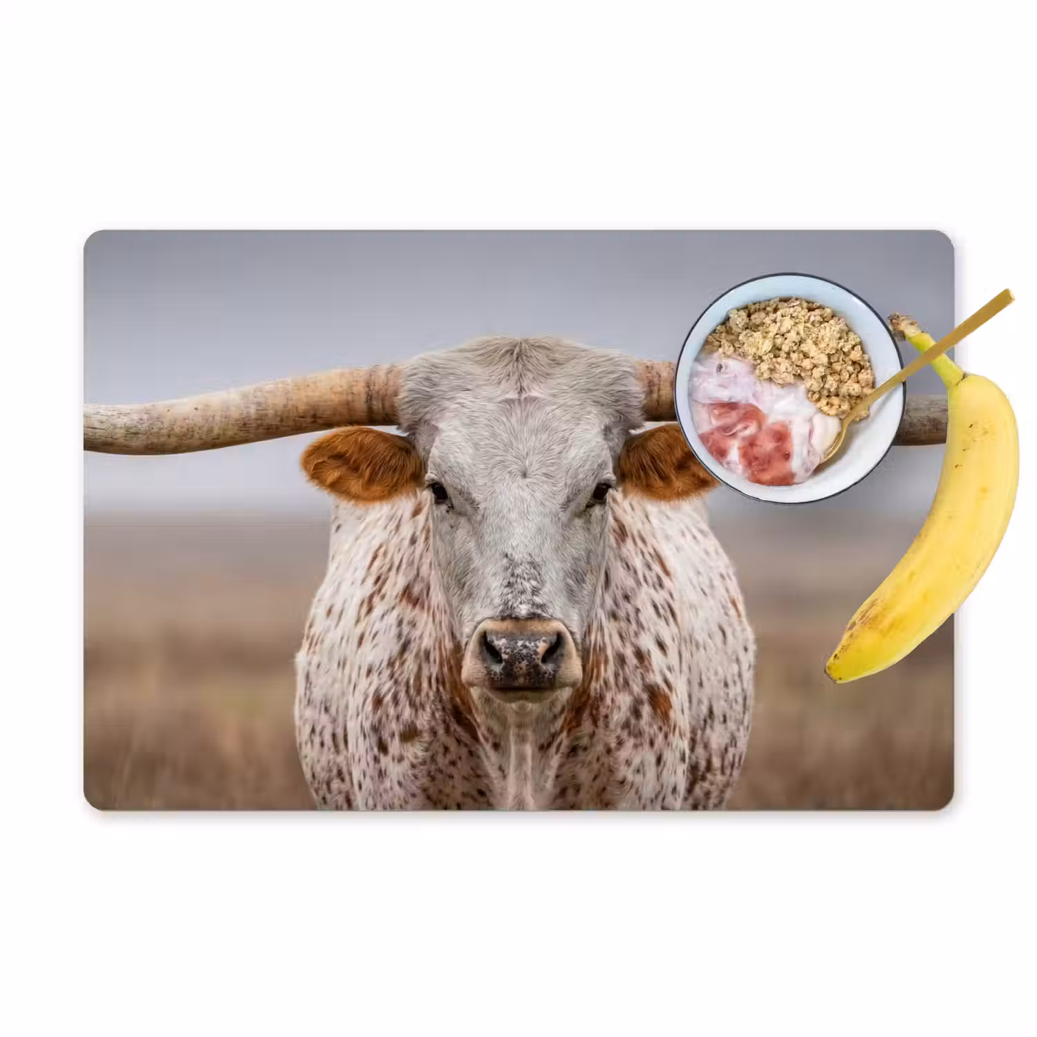 Longhorn - Grasveld - Dier Placemat vinyl groot -zzzproduct_Kitchenyeah-website