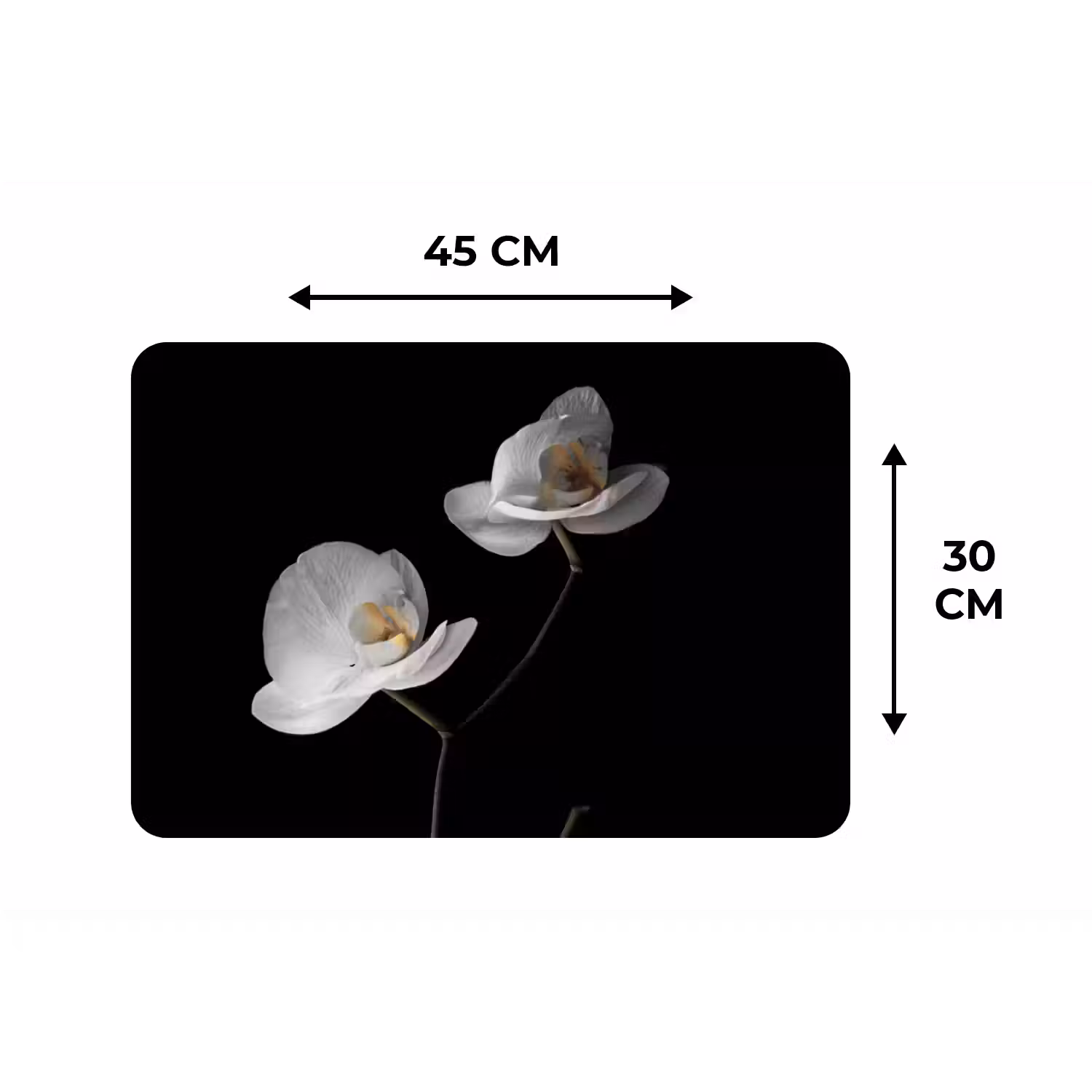 Orchidee - Bloemen - Zwart - Wit - Stilleven Placemat vinyl groot -specs