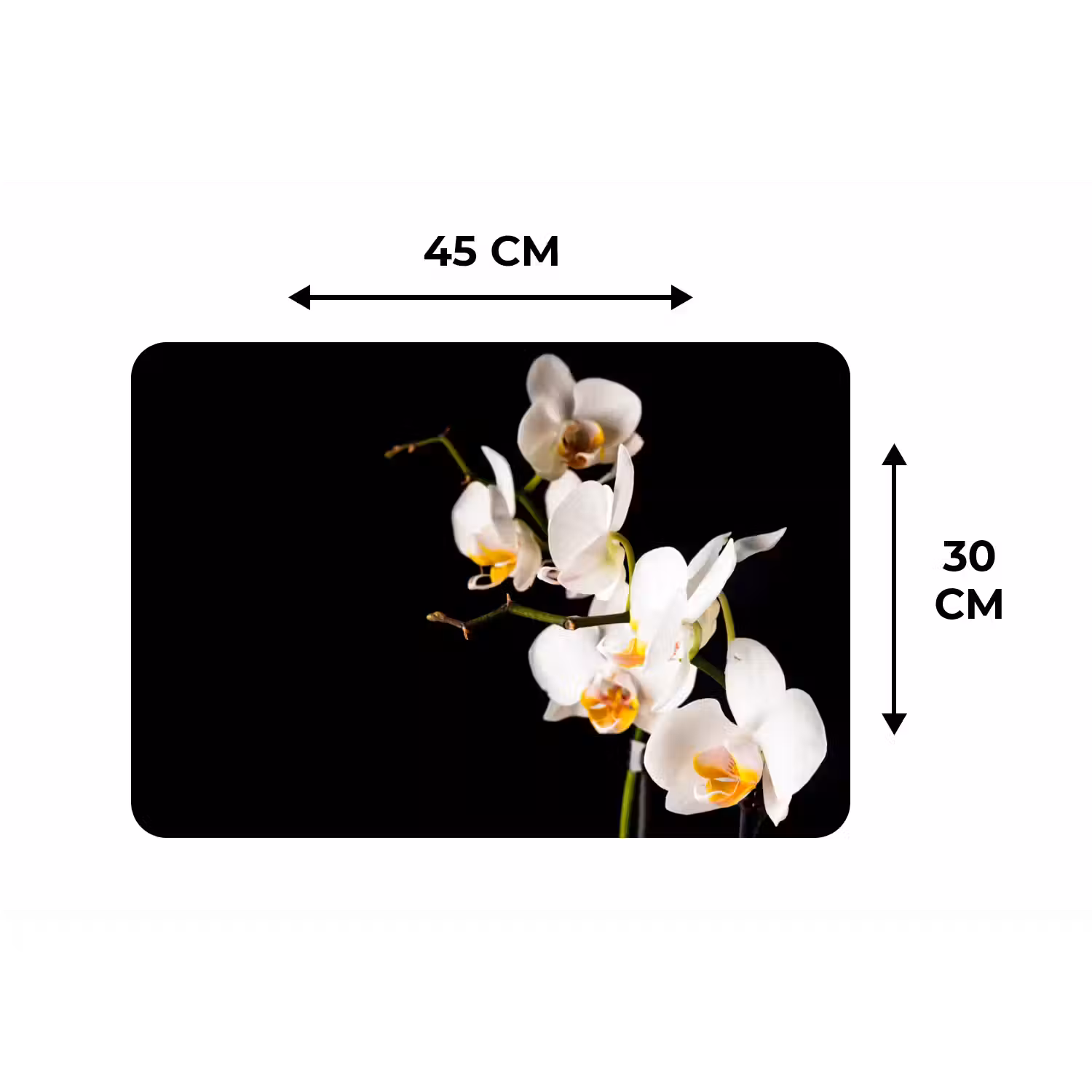 Orchidee - Bloemen - Planten - Botanisch Placemat vinyl groot -specs