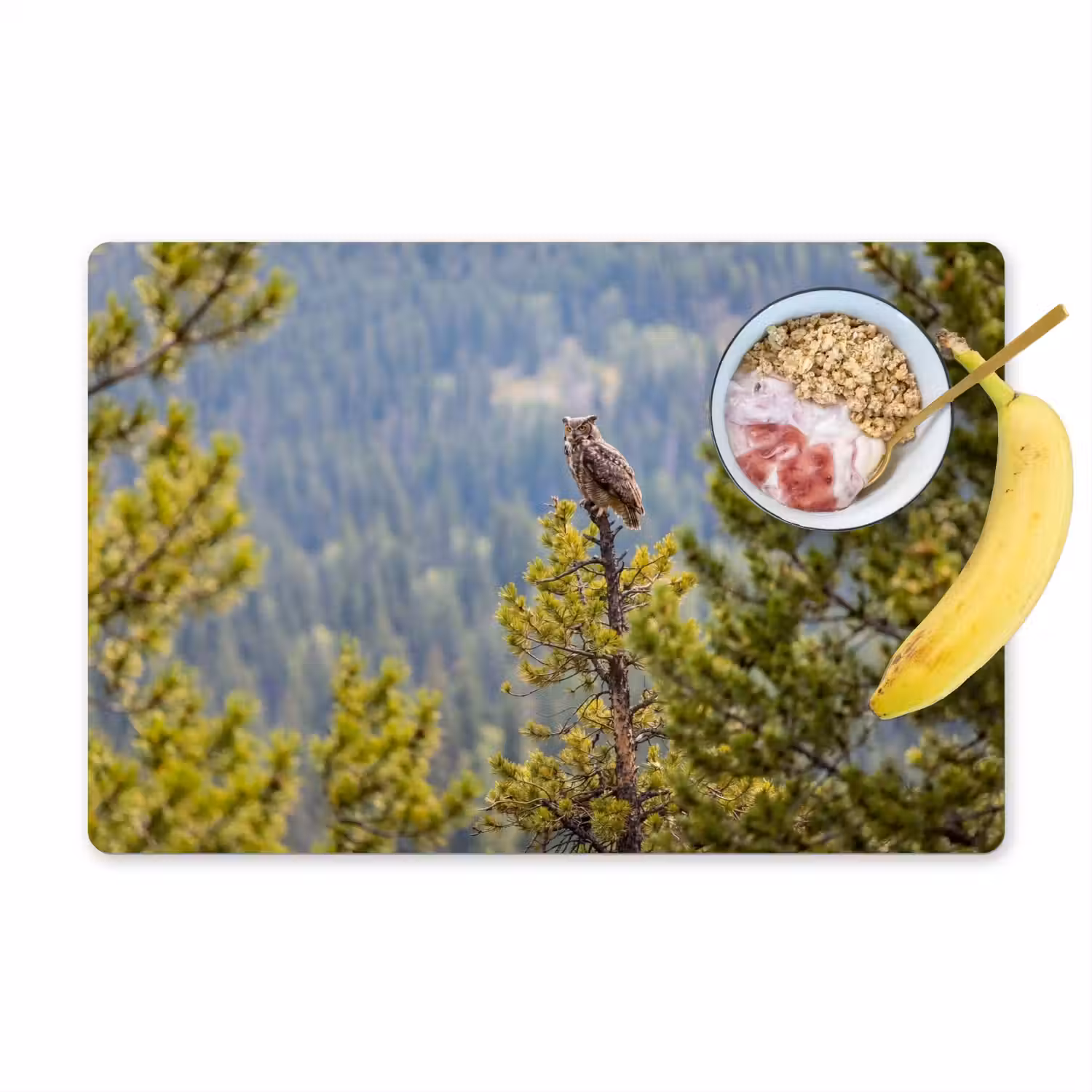 Uil - Oehoe - Bomen - Natuur Placemat vinyl groot -zzzproduct_Kitchenyeah-website