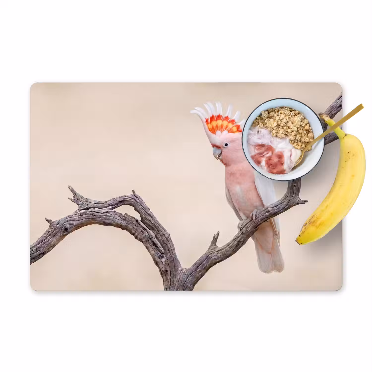 Papagaai - Tak - Roze Placemat vinyl groot -zzzproduct_Kitchenyeah-website