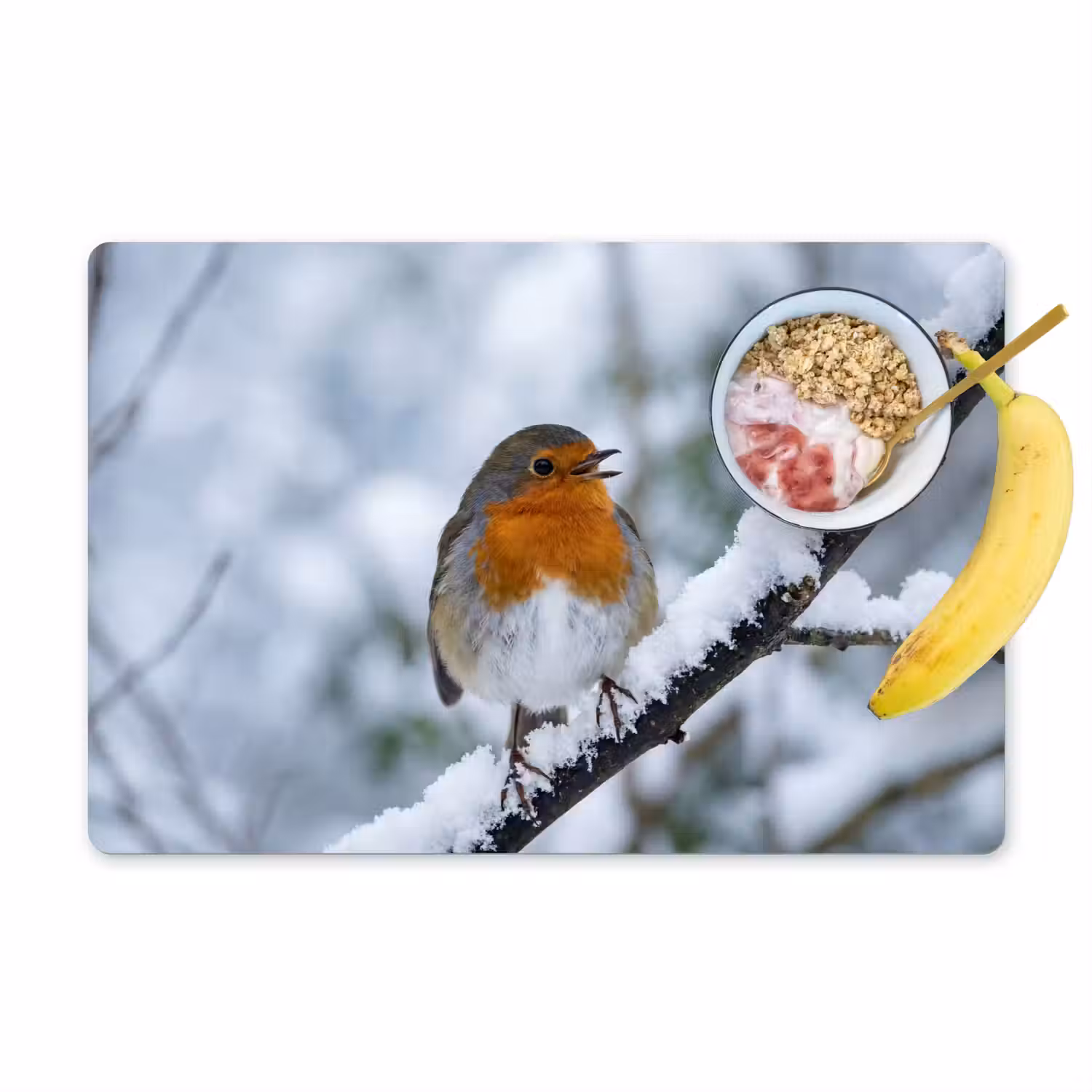 Roodborstje - Tak - Sneeuw - Winter - Levendig Placemat vinyl groot -zzzproduct_Kitchenyeah-website