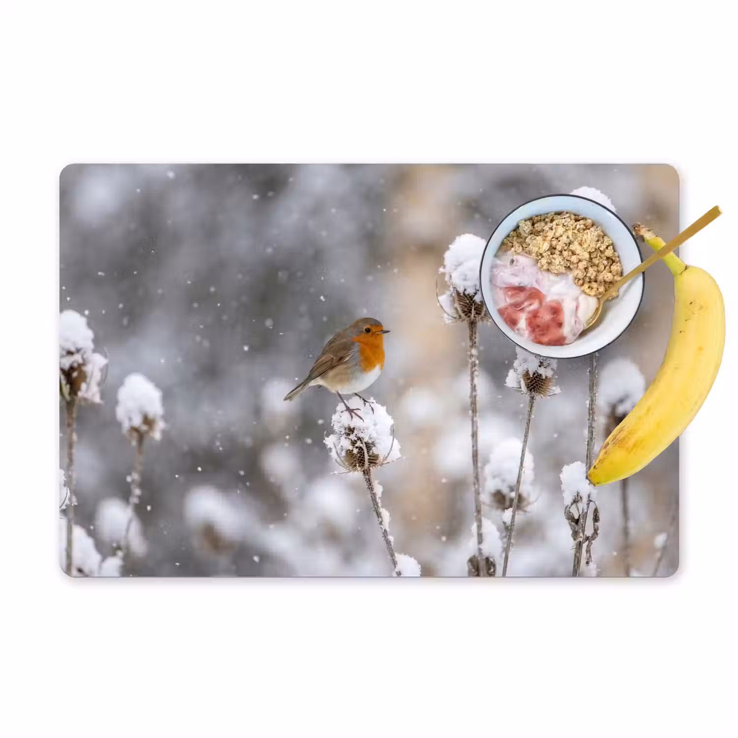 Roodborstje - Gedroogde bloem - Sneeuw - Winter - Vertederend Placemat vinyl groot -zzzproduct_Kitchenyeah-website