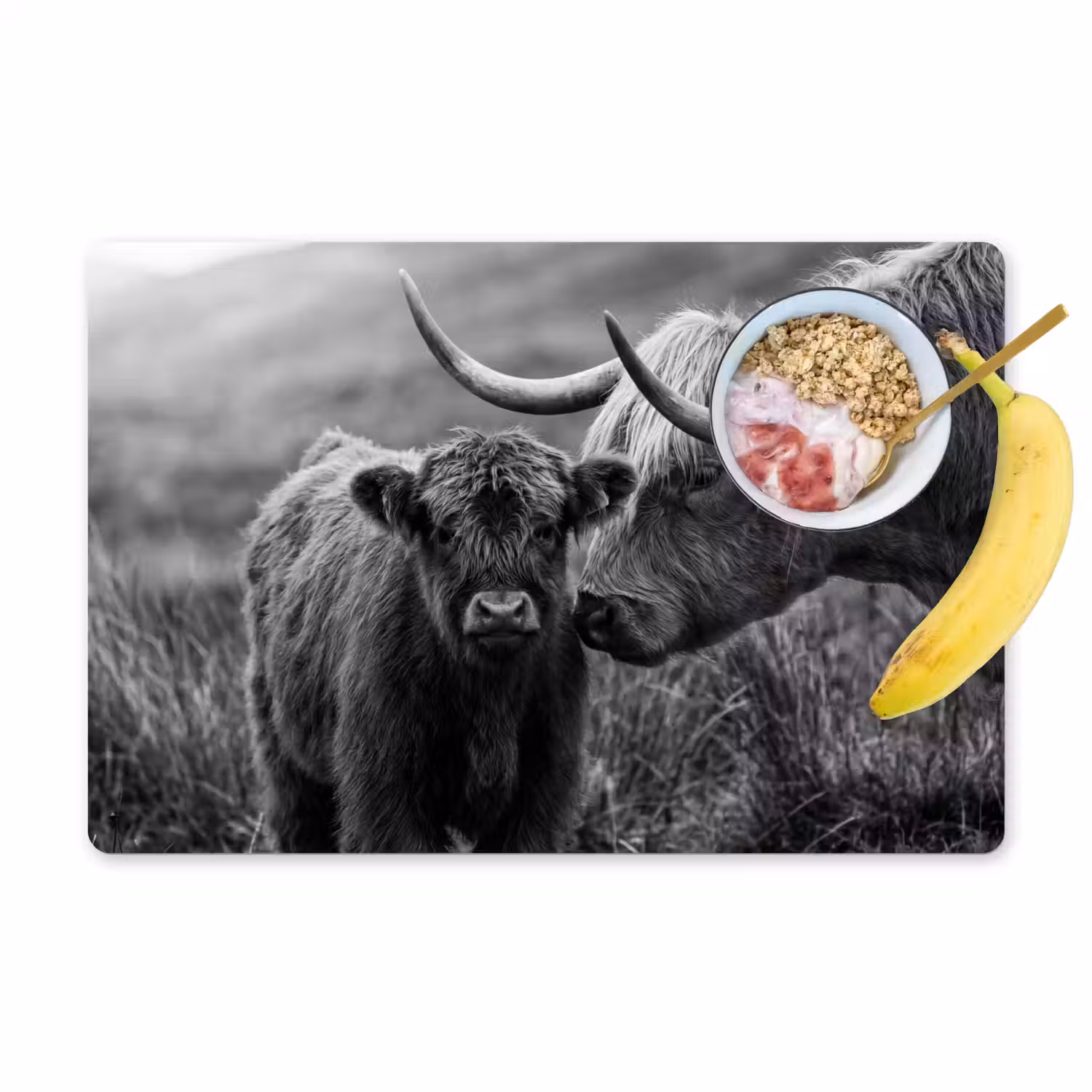 Schotse hooglander - Kalf - Zwart - Wit Placemat vinyl groot -zzzproduct_Kitchenyeah-website
