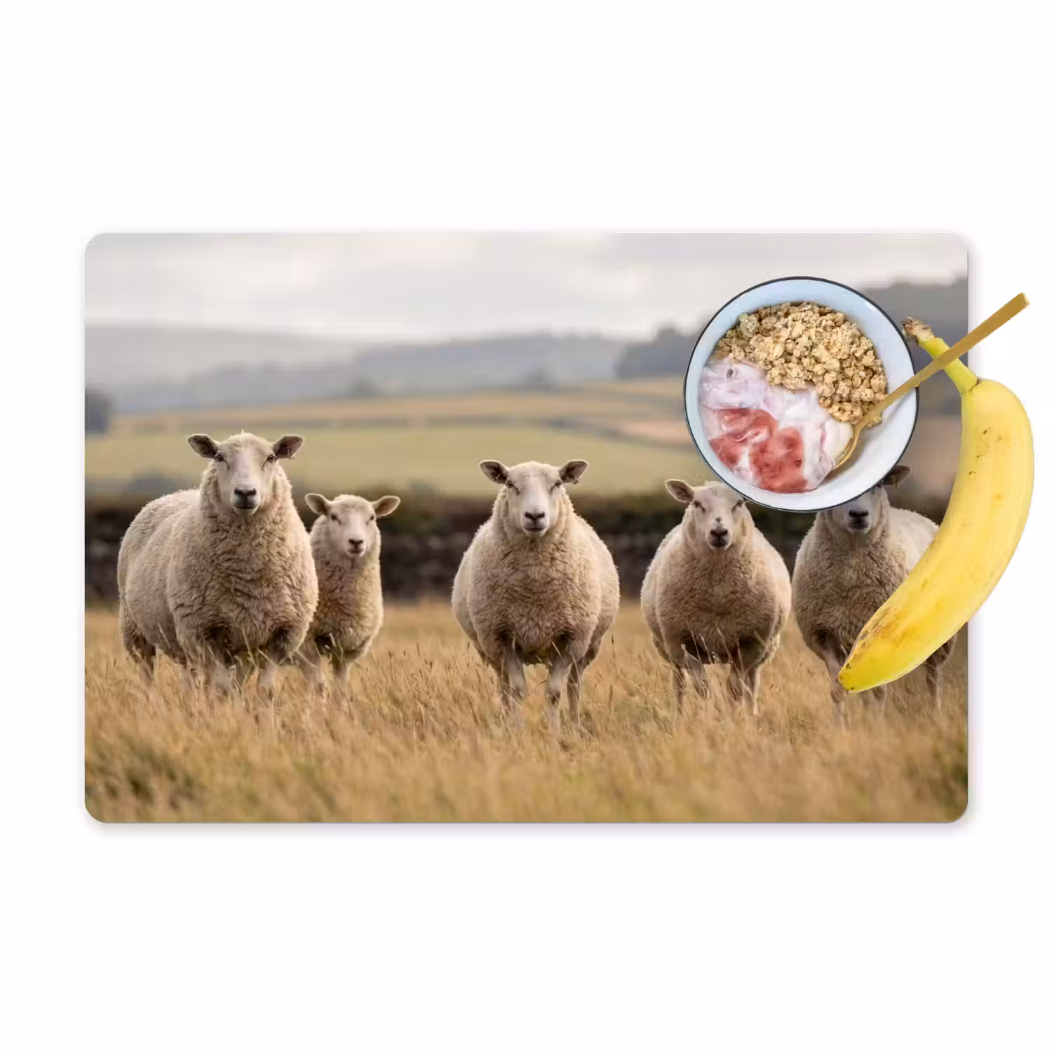Schapen - Weidenlandschap - Heuvels Placemat vinyl groot -zzzproduct_Kitchenyeah-website