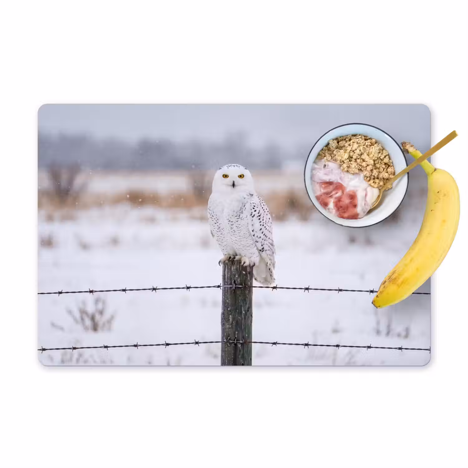 Sneeuwuil - Hek - Sneeuw - Wit Placemat vinyl groot -zzzproduct_Kitchenyeah-website
