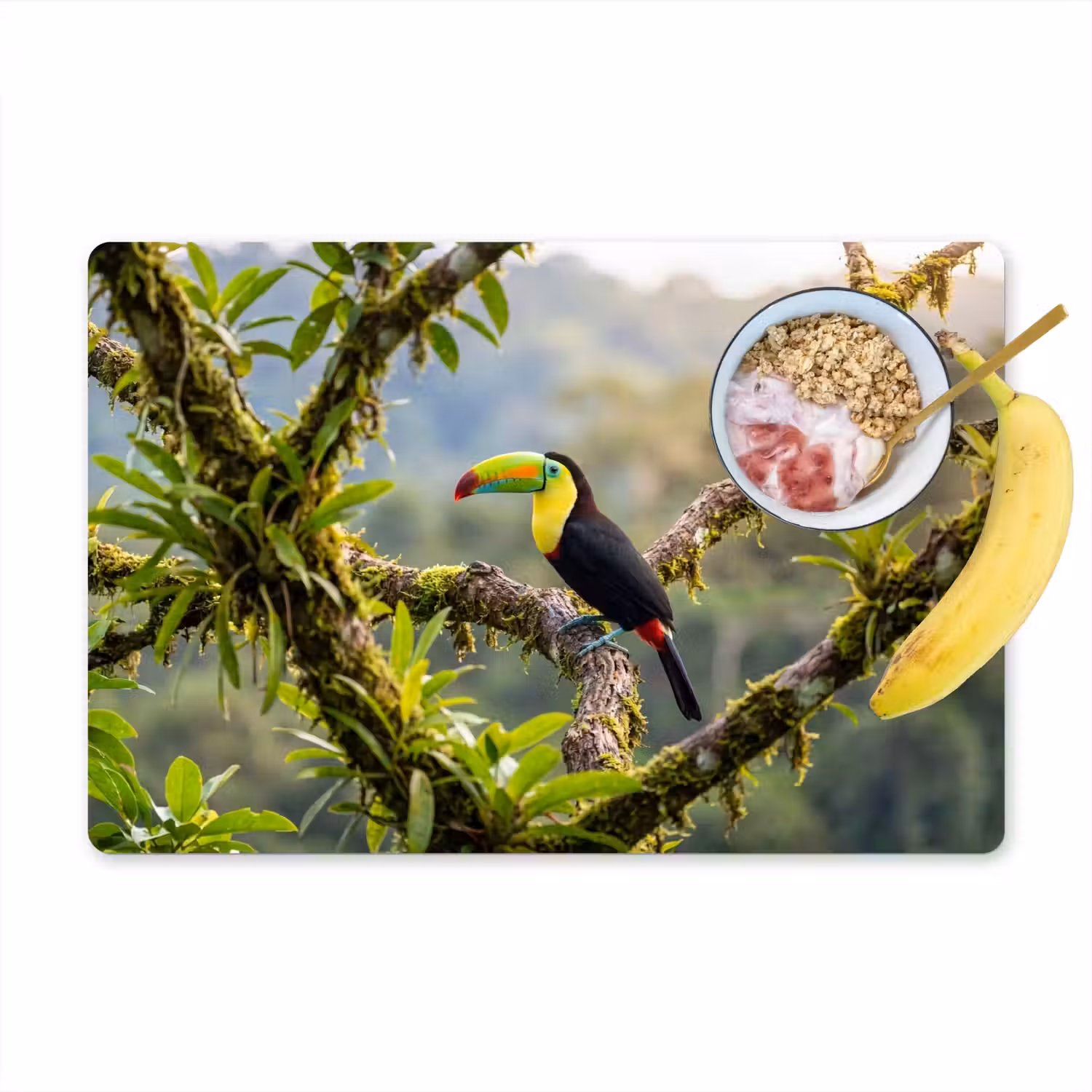 Toekan - Jungle - Natuur - Kleurrijk Placemat vinyl groot -zzzproduct_Kitchenyeah-website