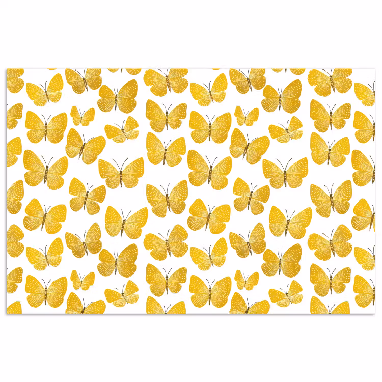 Vlinders - Botanisch - Illustratie - Geel - Wit poster papier klein 62 -3d