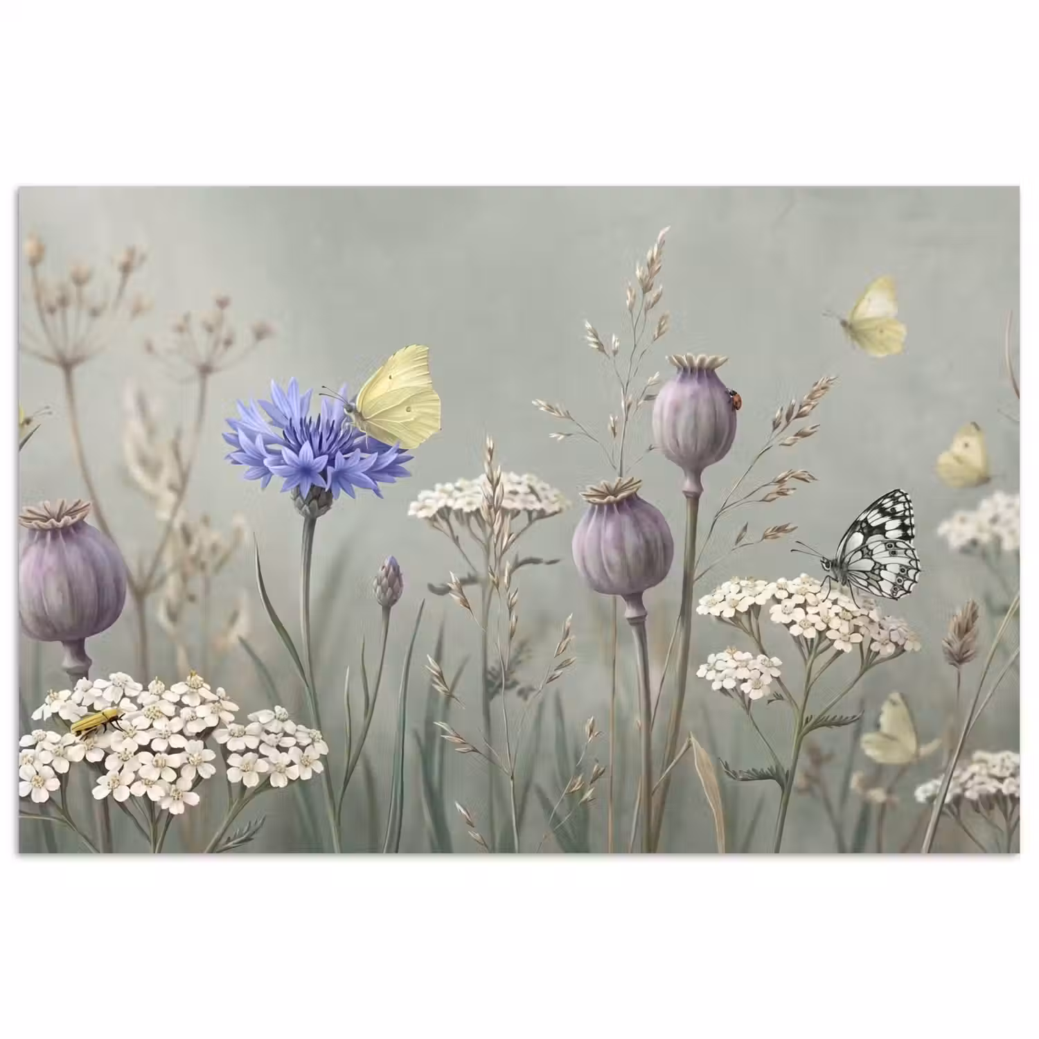 Vlinders - Wildbloemen - Illustratie - Kleurrijk poster papier klein -3d