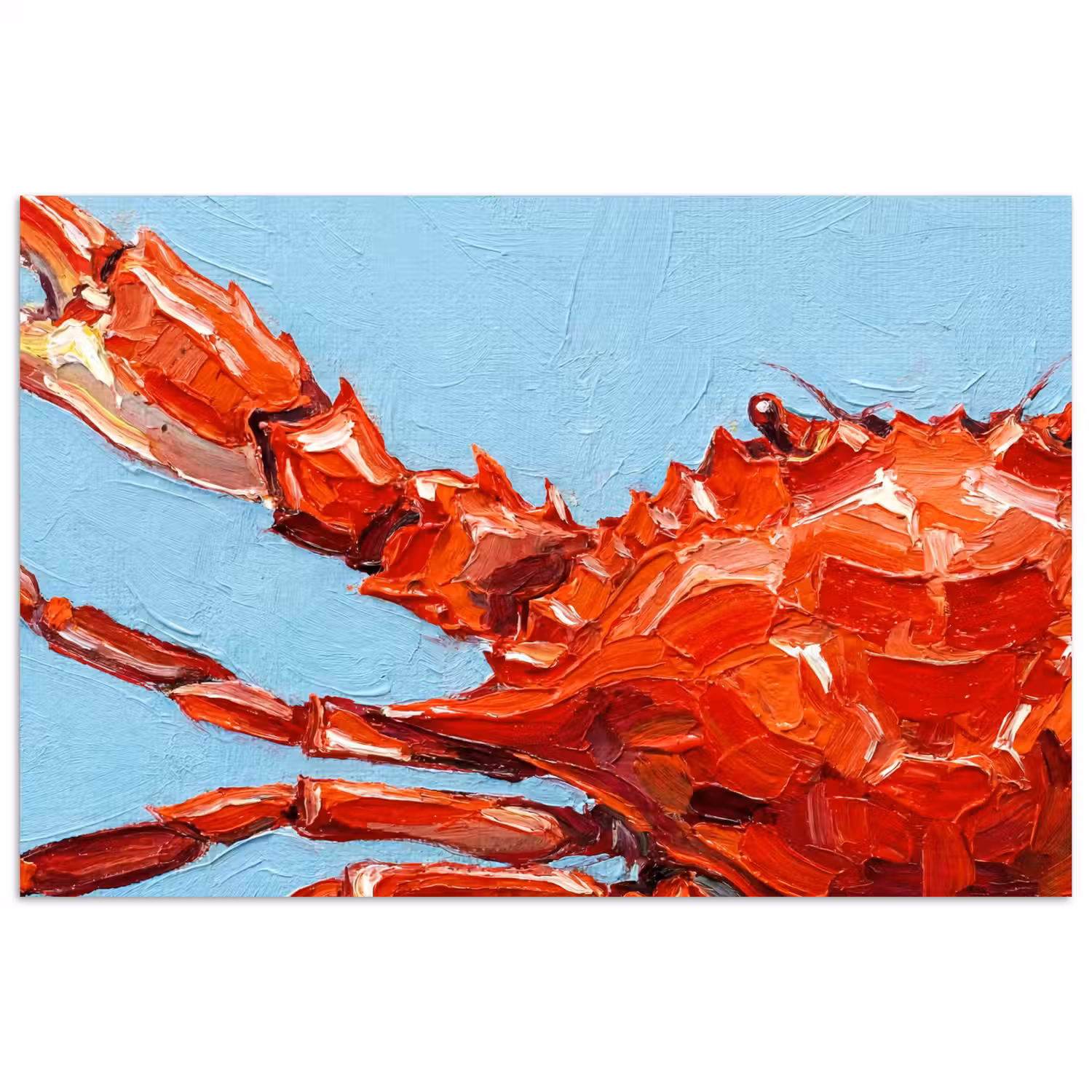Krab - Zee - Dieren - Abstract - Rood poster papier klein -3d