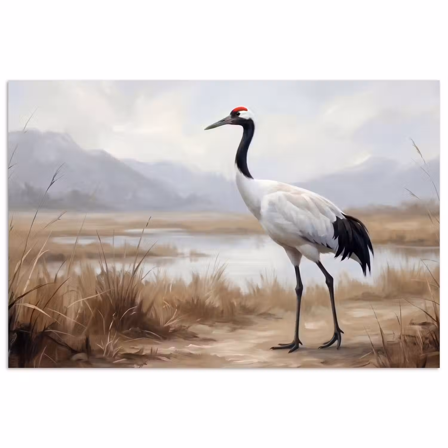 Kraanvogel - Natuur - Realistisch poster papier klein -3d