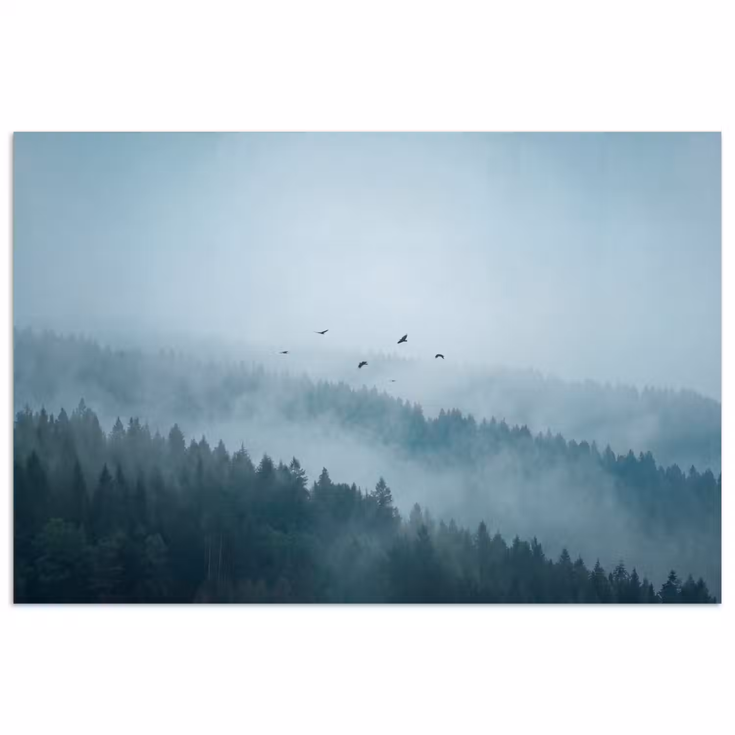 Bos - Mist - Vogels - Natuur - Groen poster papier klein -3d