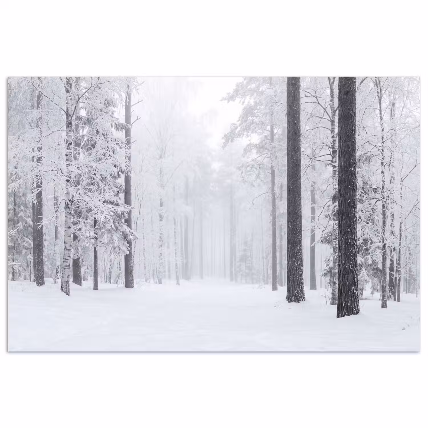 Bos - Sneeuw - Pad - Winter - Stilte poster papier klein -3d