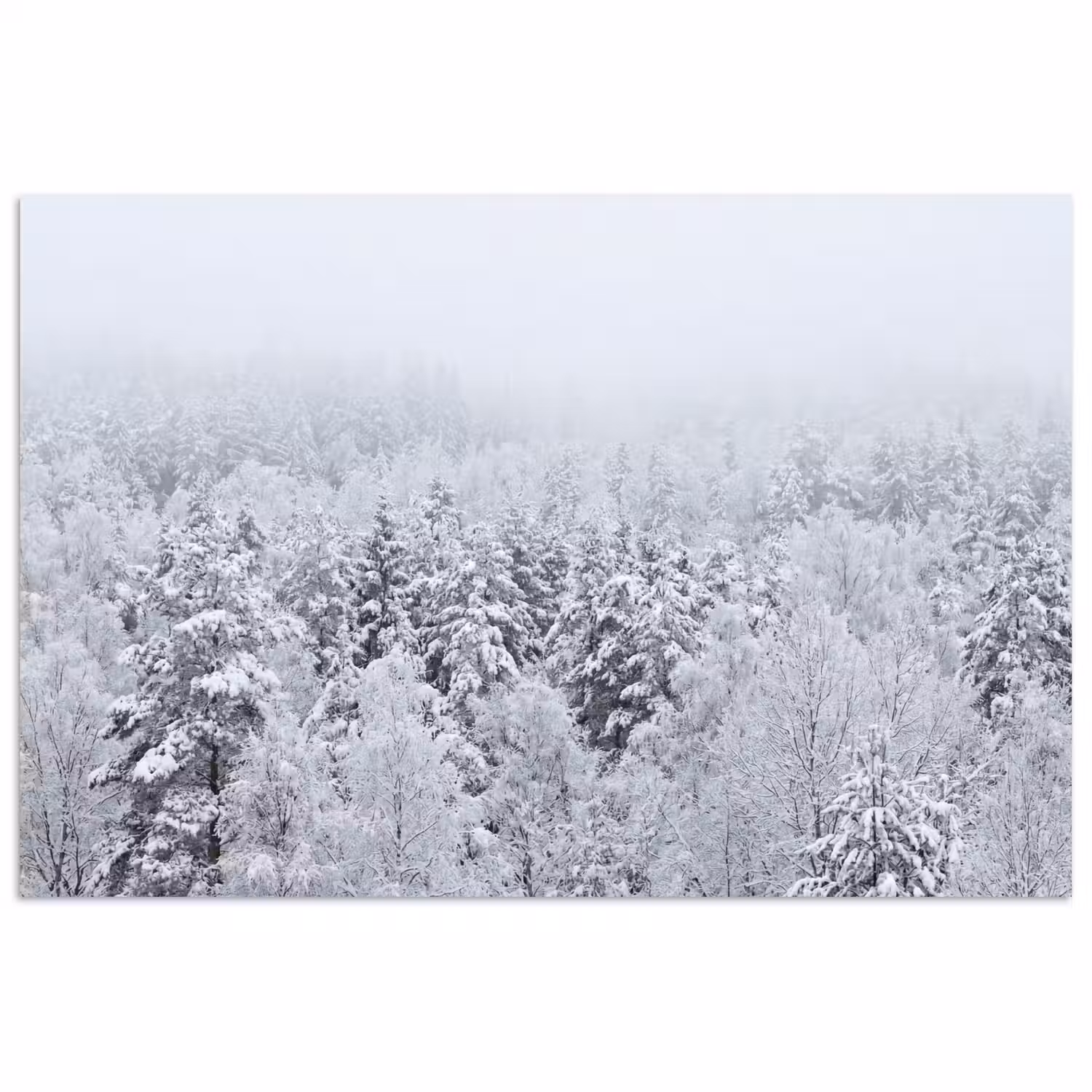 Bos - Sneeuw - Winter - Natuur - Wit poster papier klein -3d