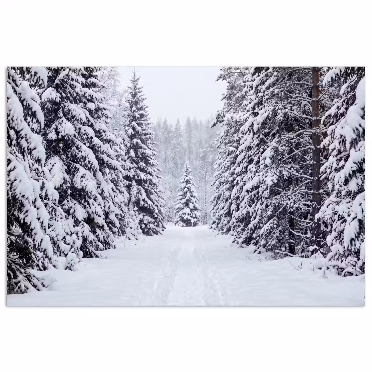 Bos - Winter - Sneeuw - Pad - Natuur poster papier klein -3d