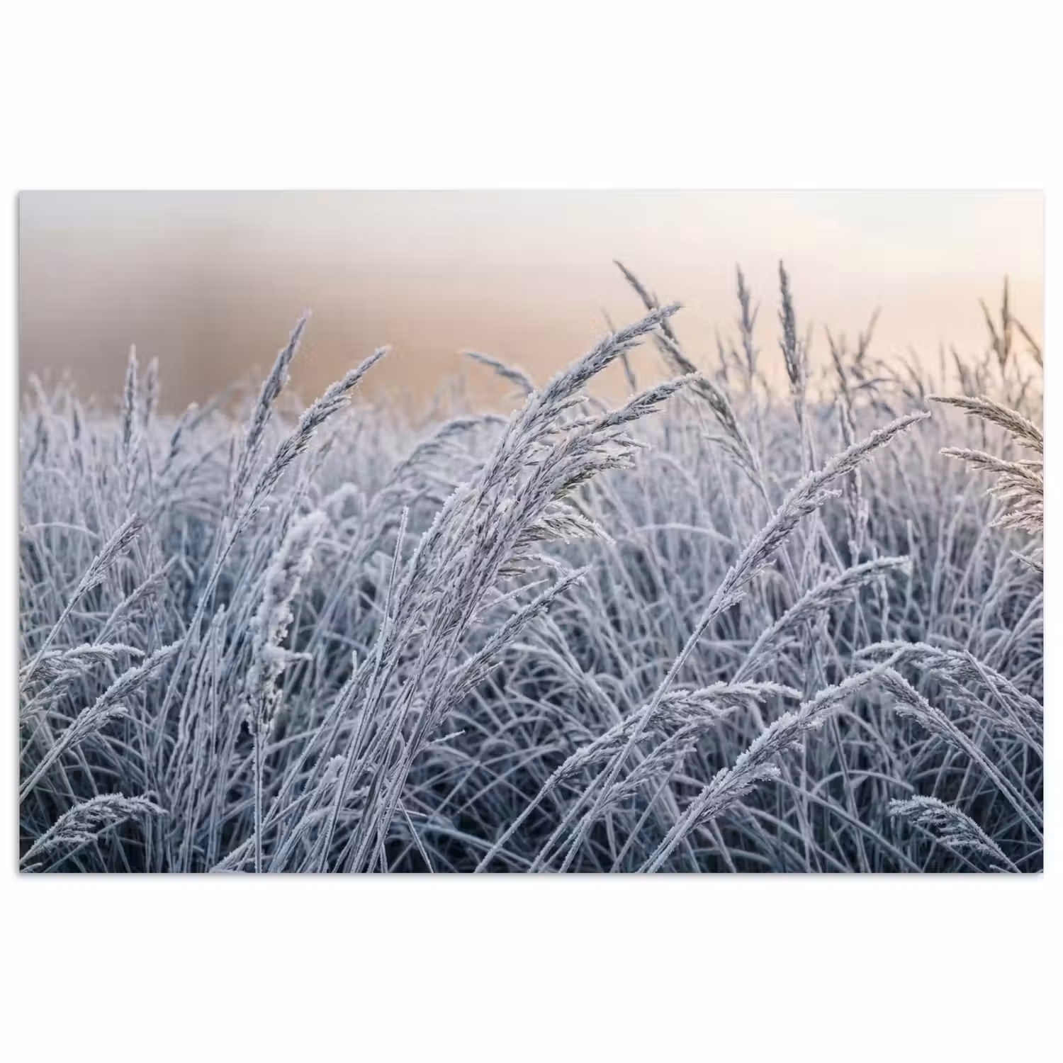 Rijp - Gras - Kristallen - Winter - Minimalistisch poster papier klein -3d