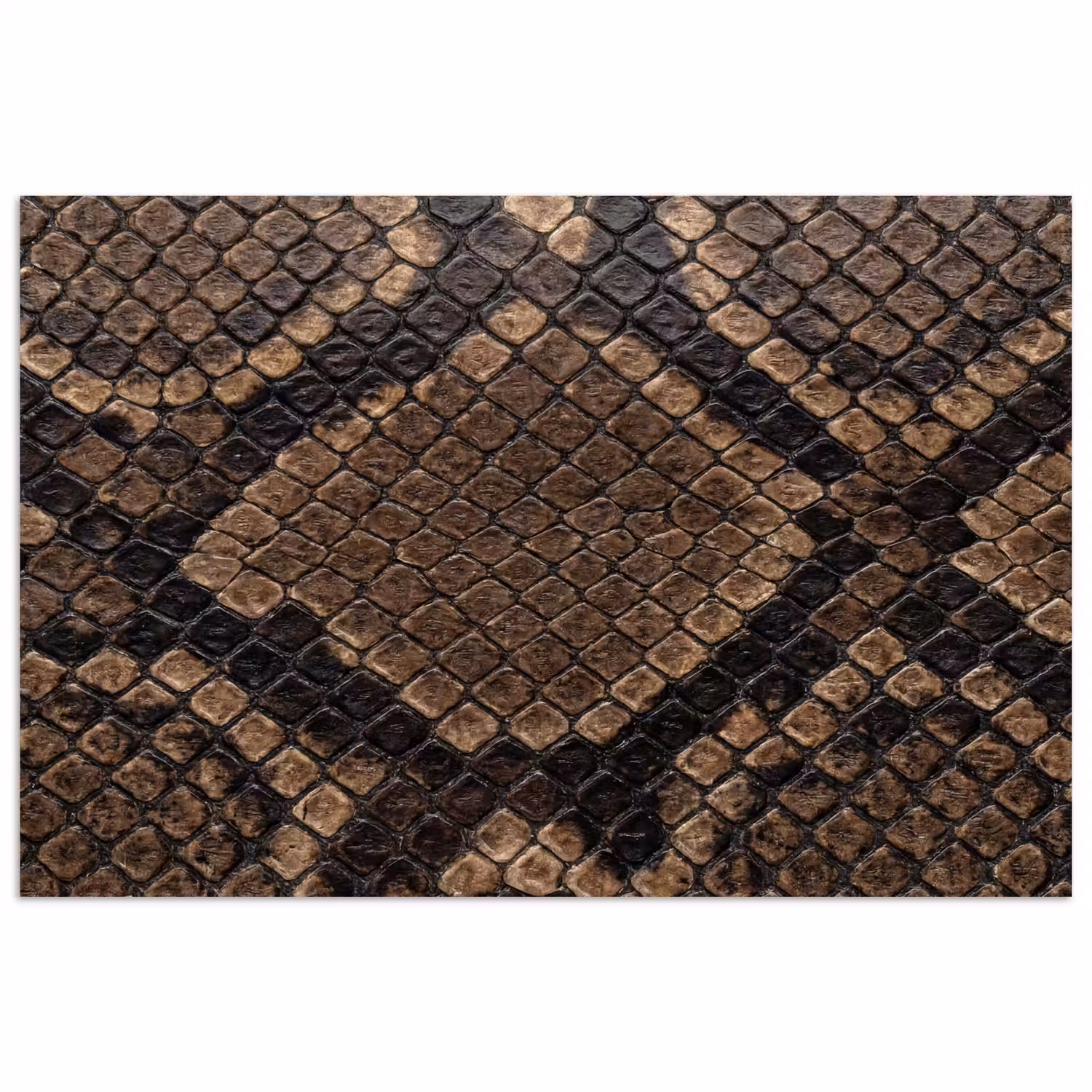 Python - Schubben - Brons poster papier klein -3d