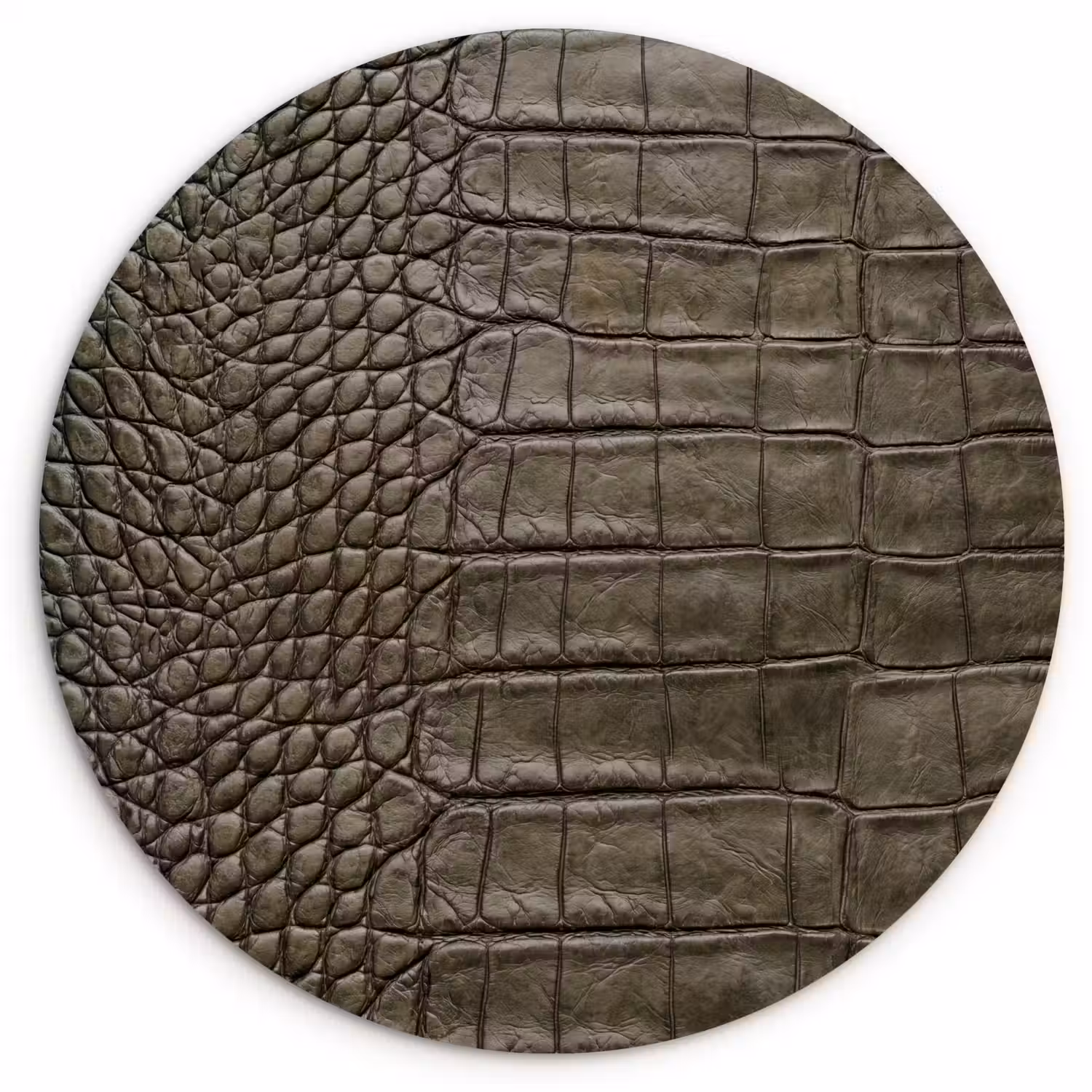 Krokodillenleer - Structuur - Groen Wandcirkel kunststof plaat 5mm dik klein -3d
