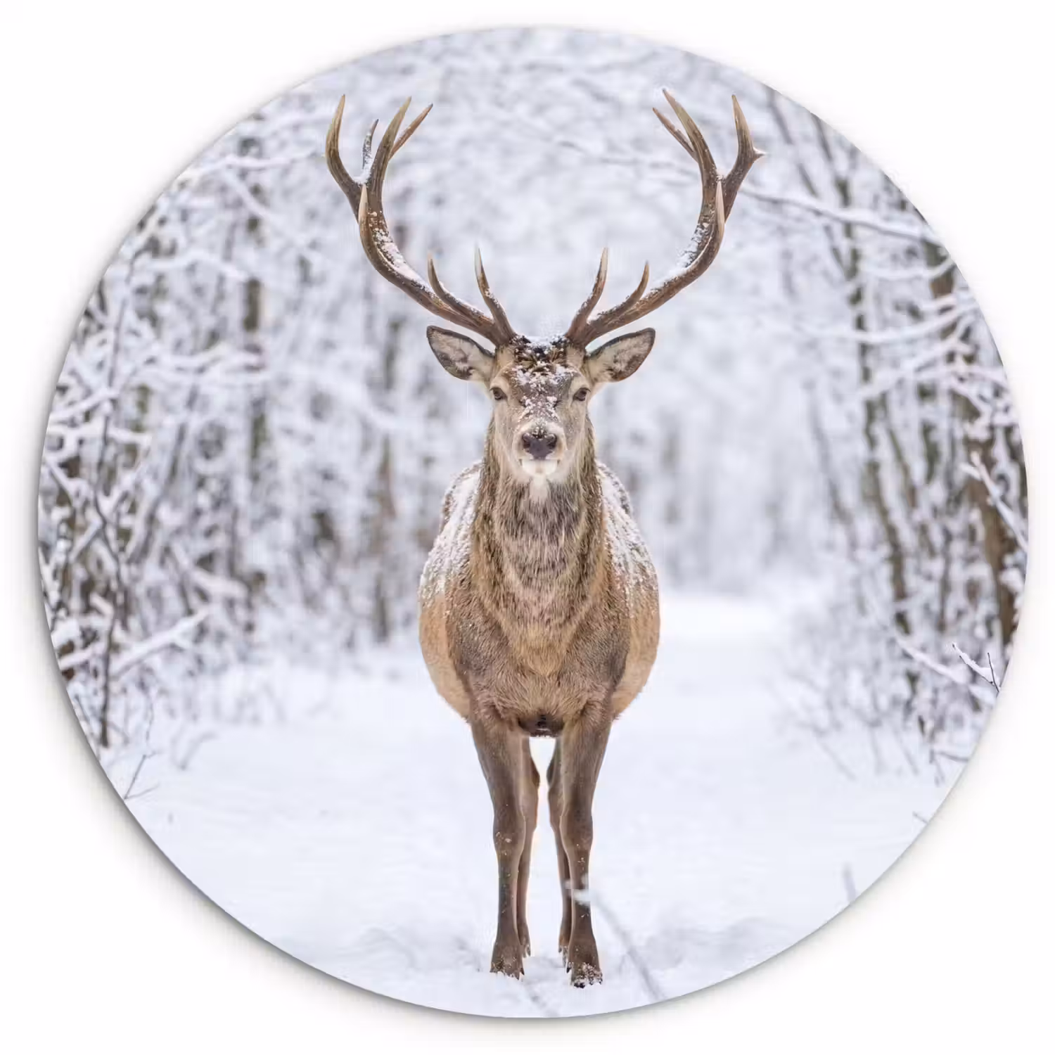 Hert - Winter - Bos - Natuur - Wit Wandcirkel kunststof plaat 5mm dik klein -3d